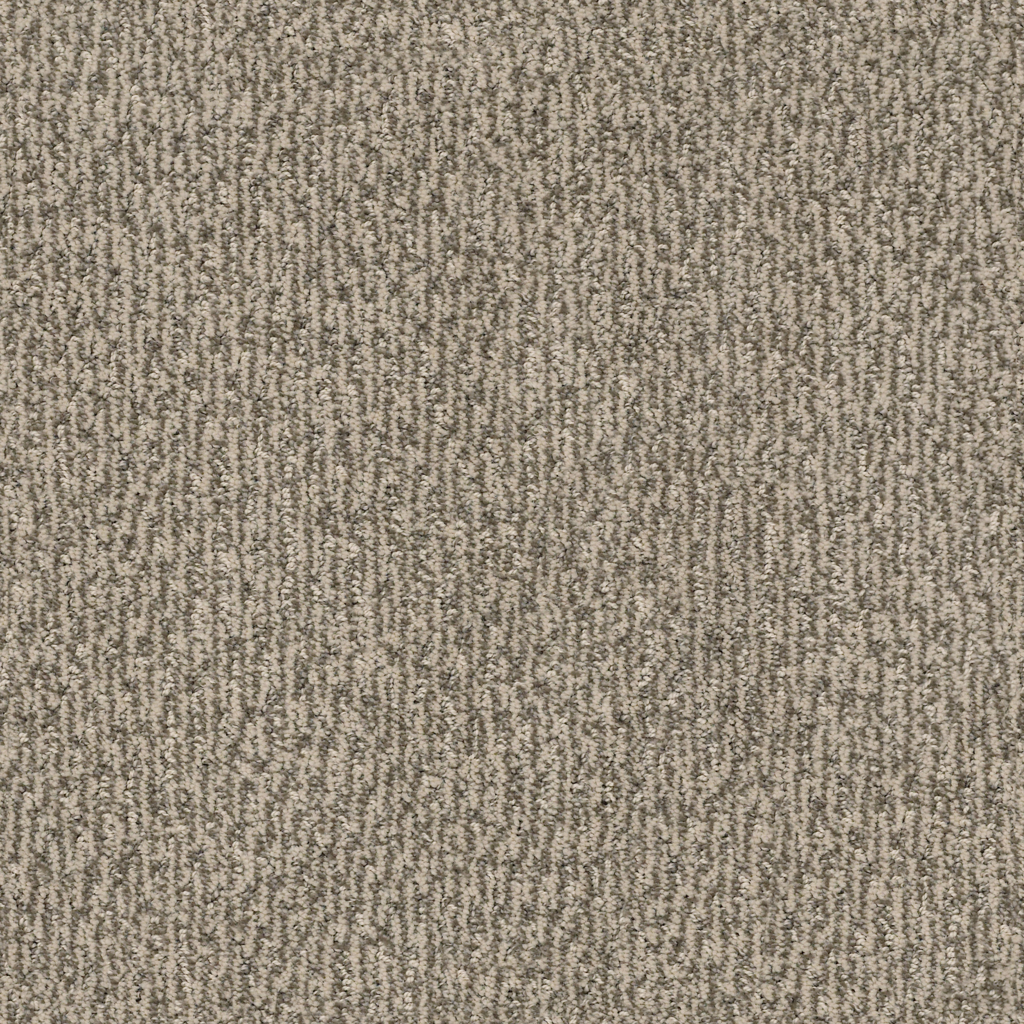 FUR-EVER DANVILLE MAIN