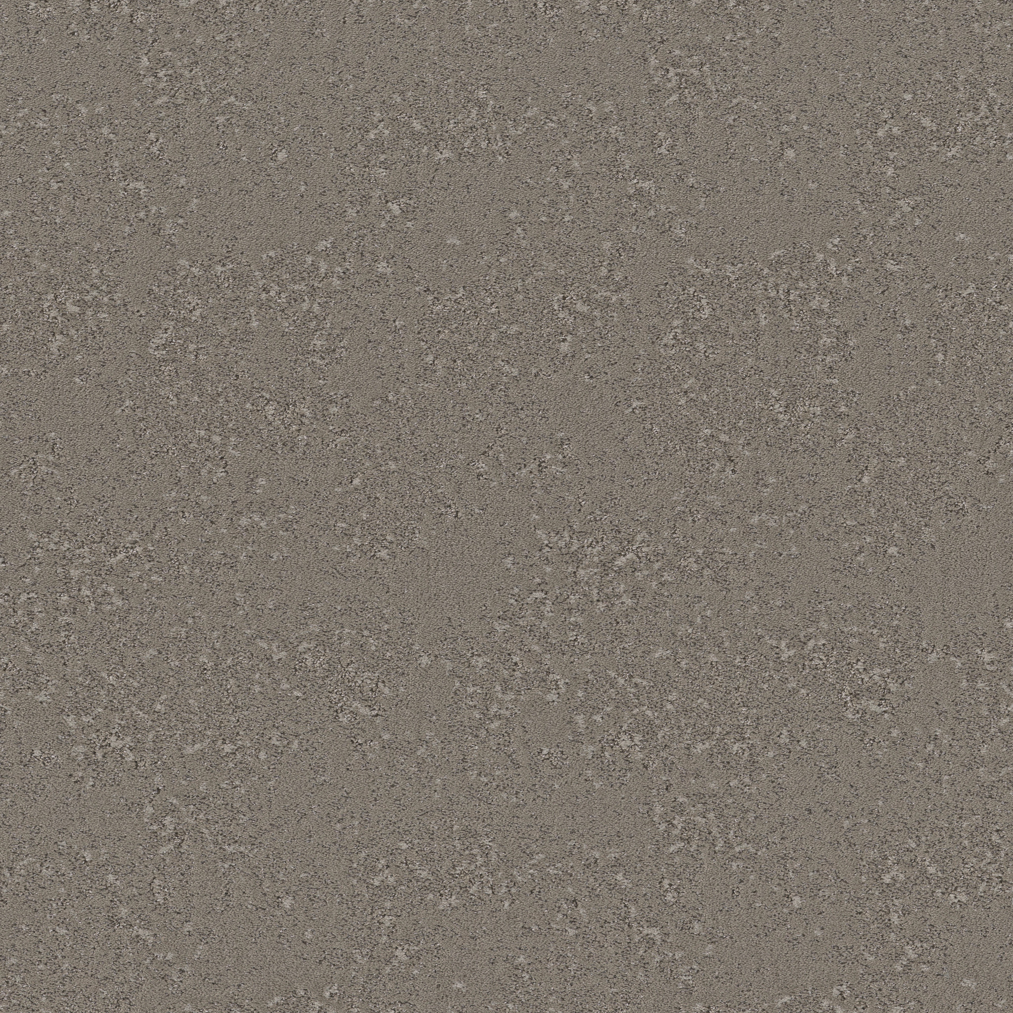 FANCY THAT BARNBOARD MAIN