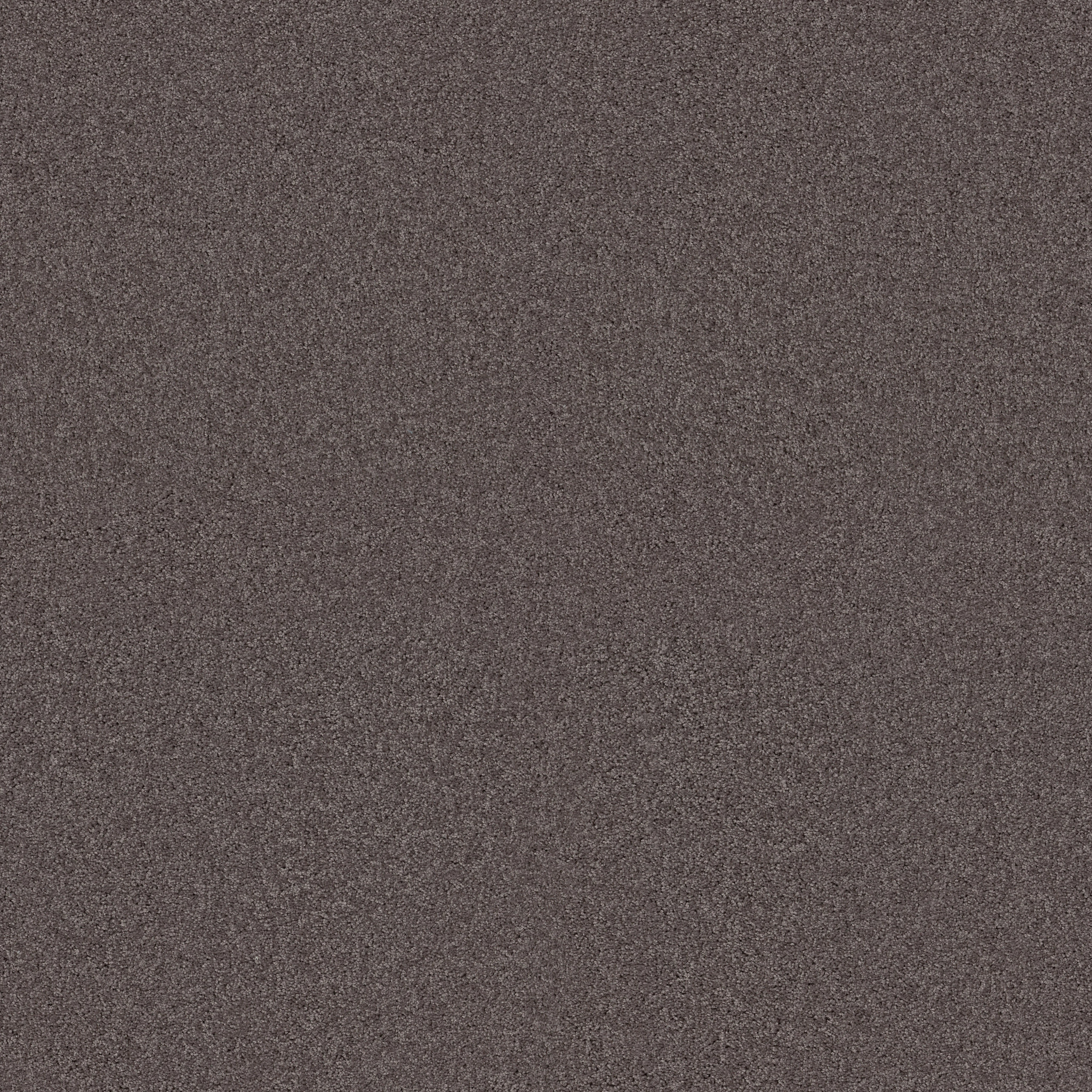 INSPIRED BY I SEPIA MAIN