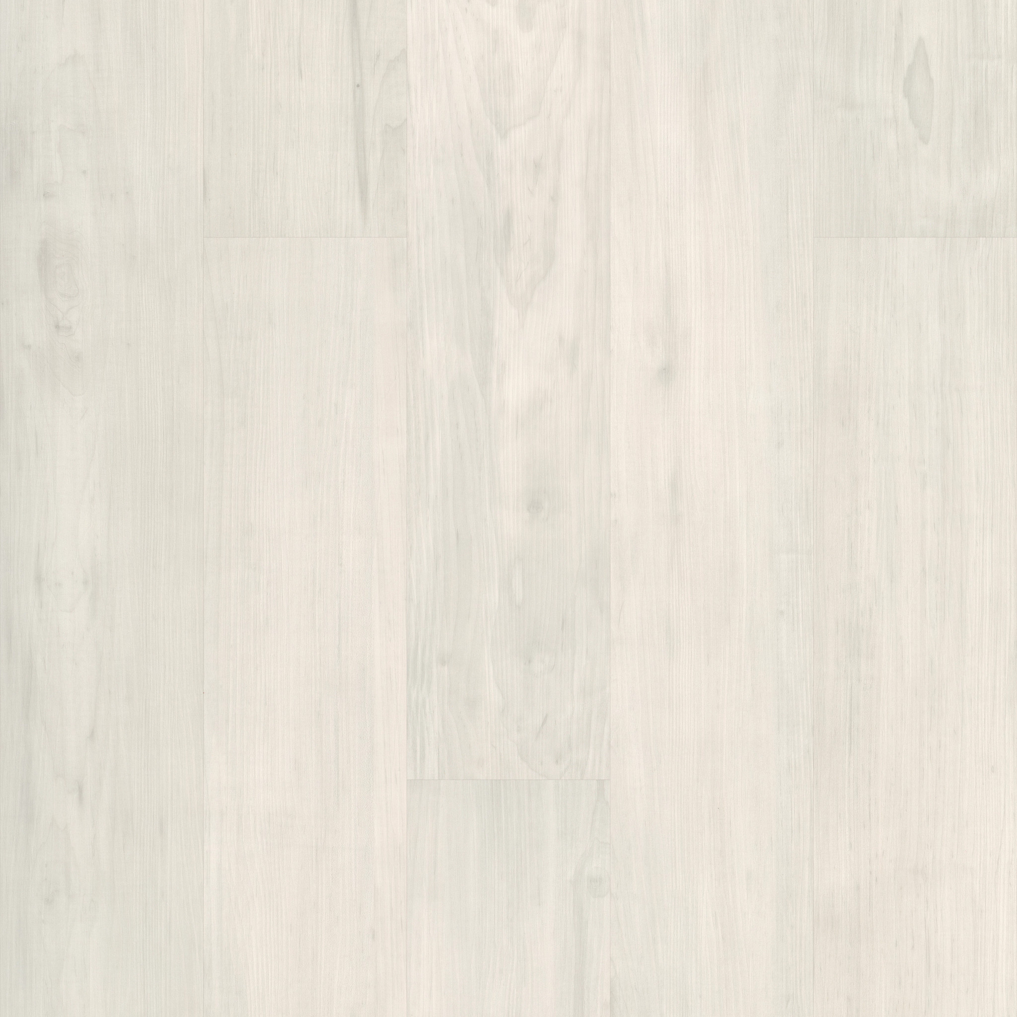 PURVIEW-5.0-5037V-BONE-00100-main-image