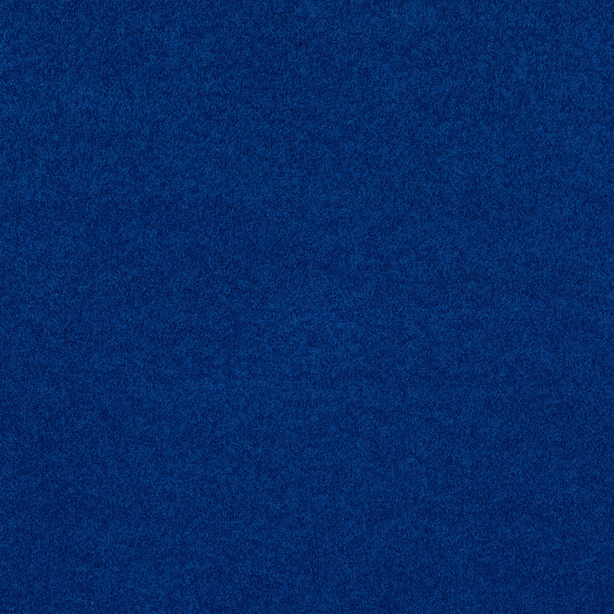 DYERSBURG II 12' COBALT MAIN