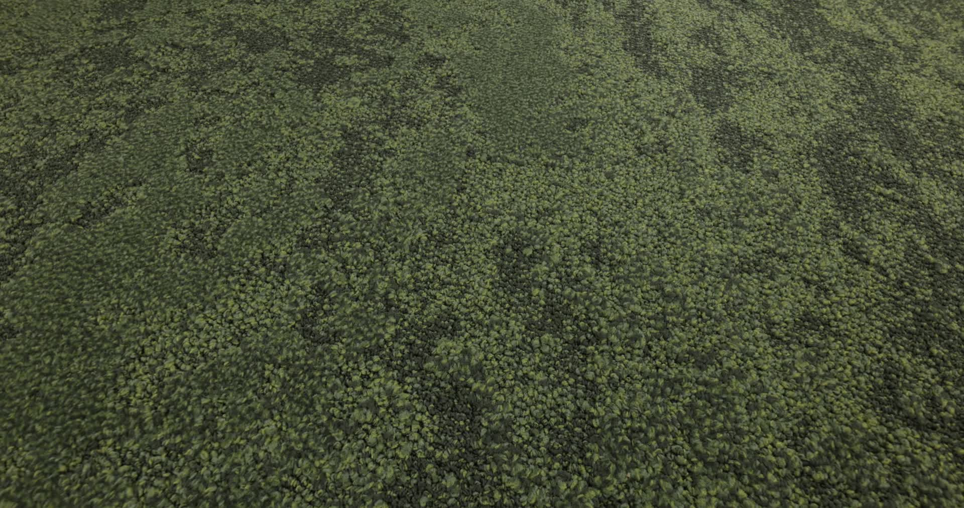 Escape Moss Rotation360