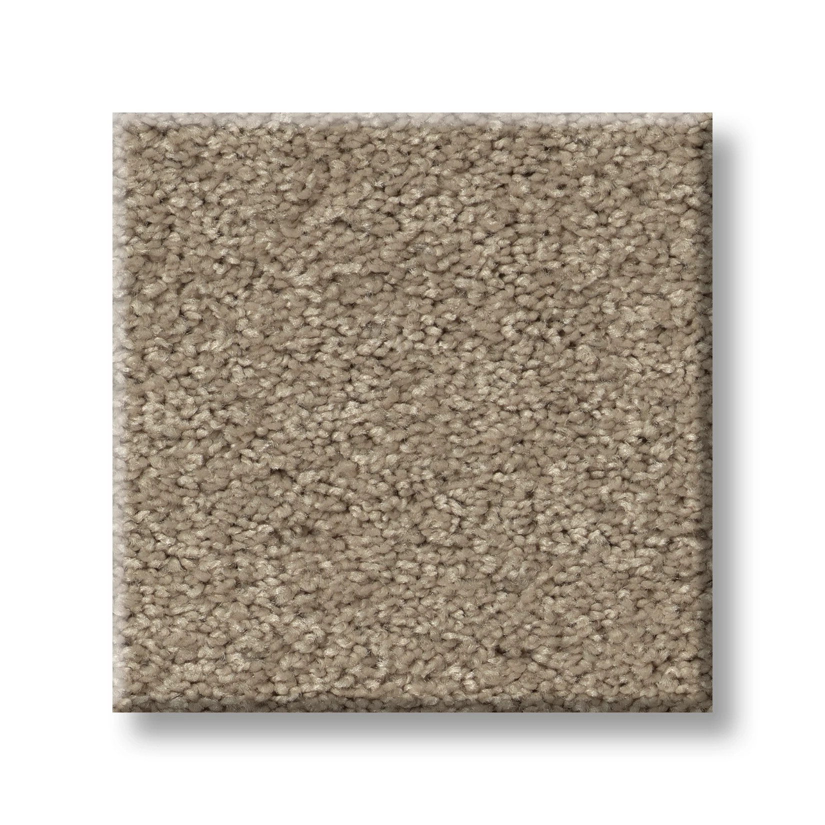 MY DESTINATION I LATTÉ SWATCH