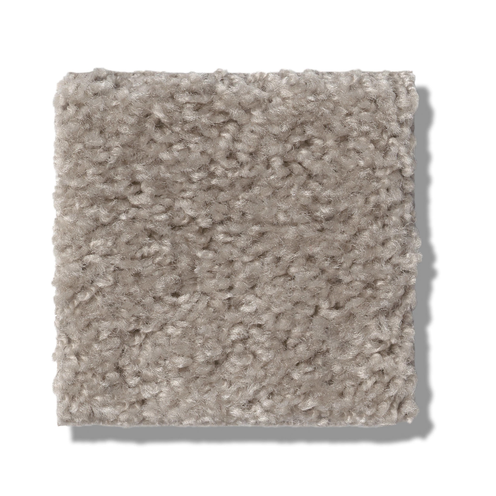 VALIANT QUIET MOMENT SWATCH