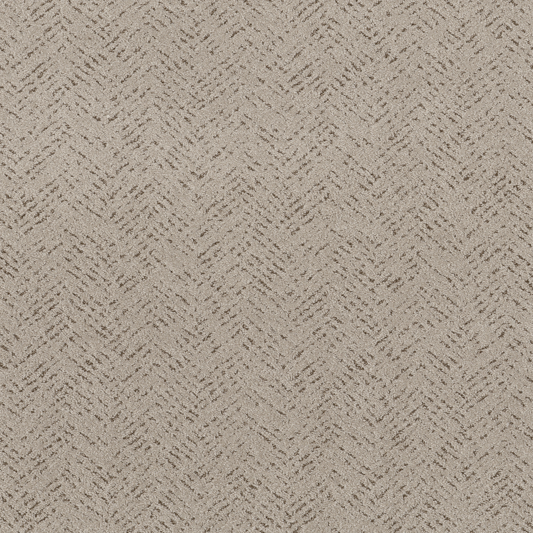 FAVOURED PATH RIVER BIRCH MAIN