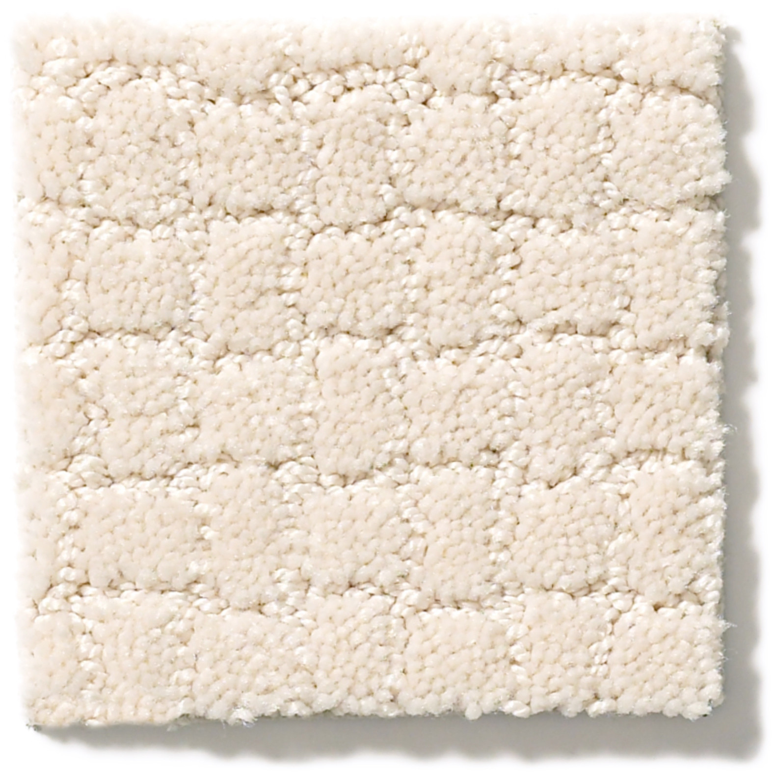 PAWSTRUCK CAPRI COAST SWATCH