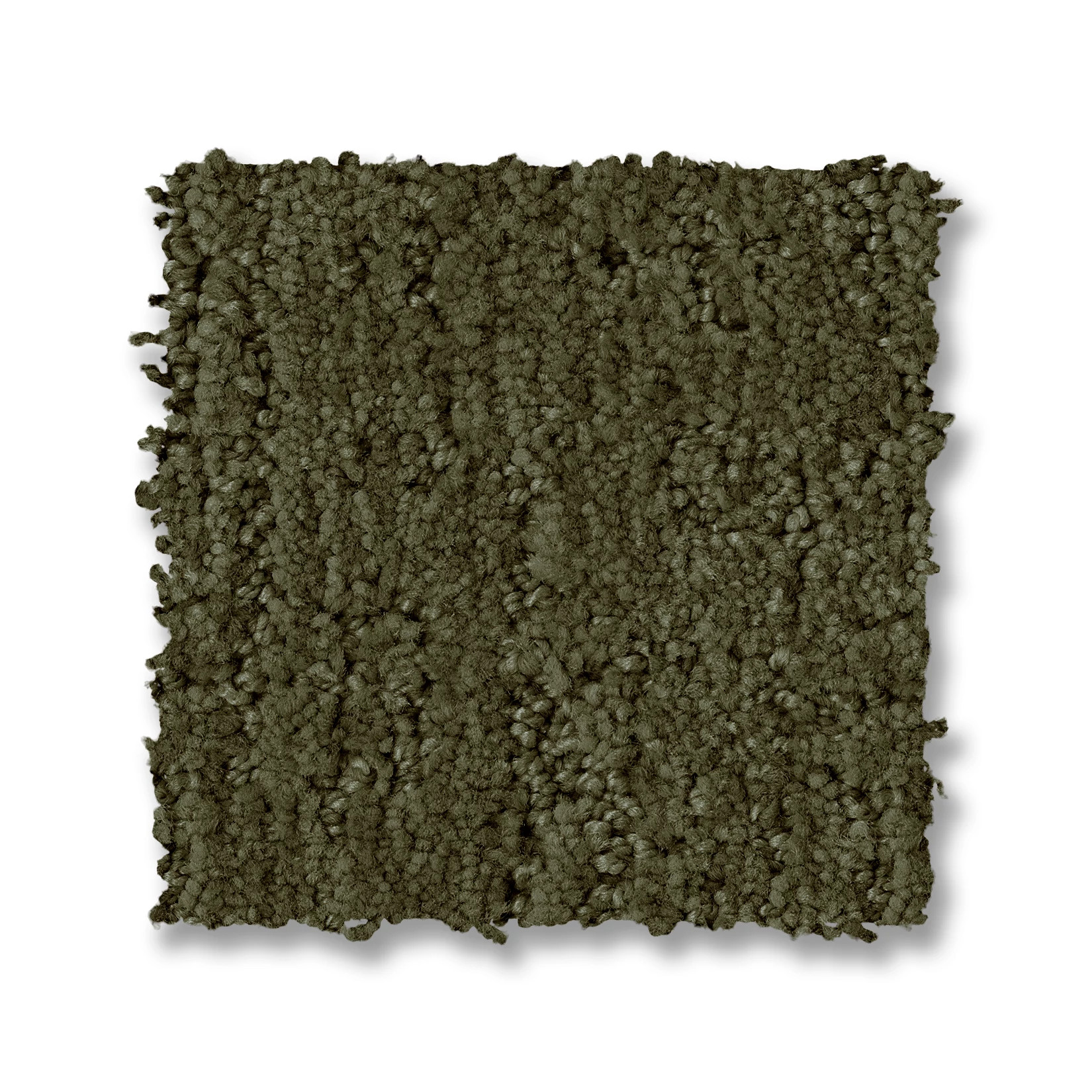 INDULGENT OLIVE TREE SWATCH