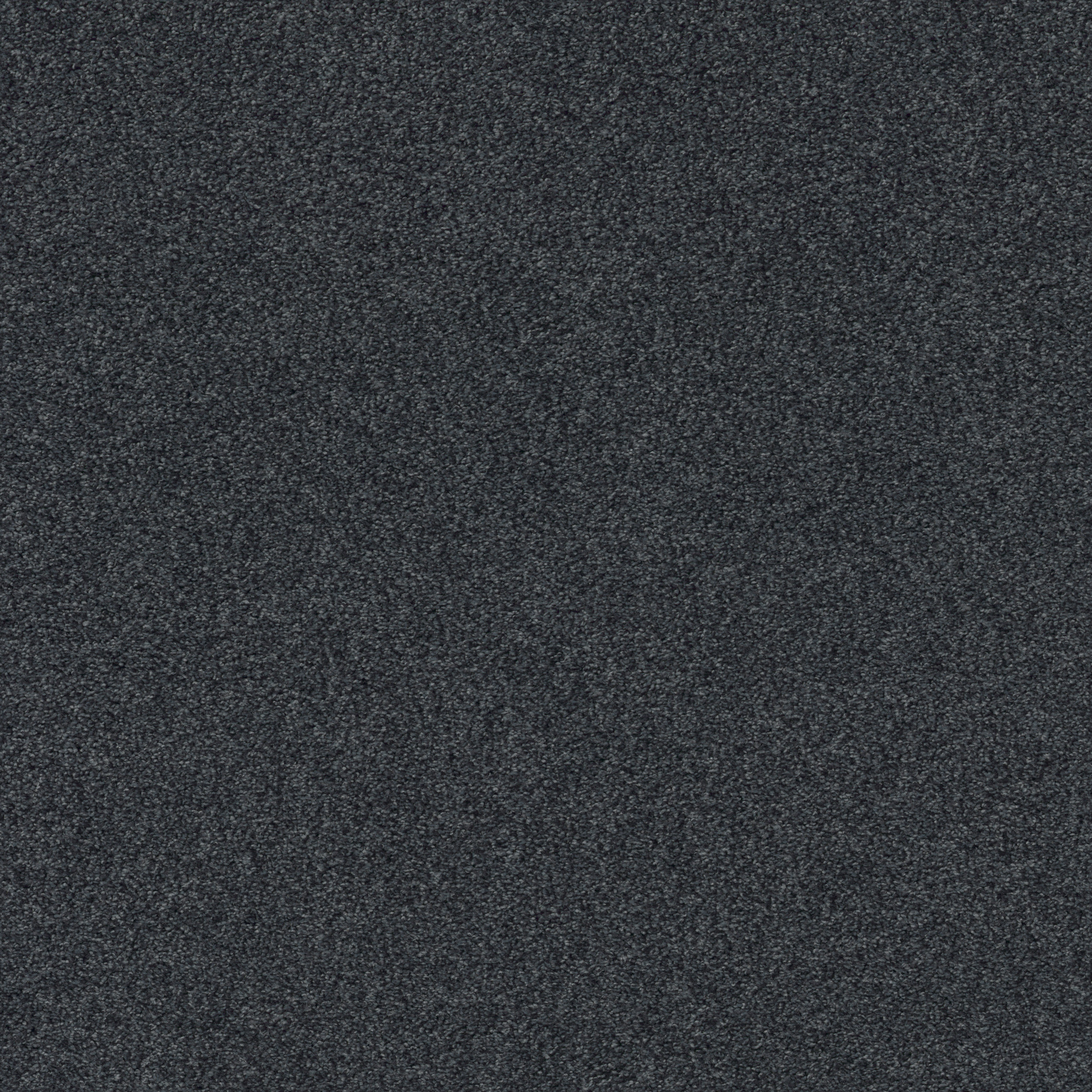 COZY HARBOR I DEEP SEA MAIN