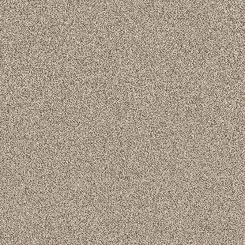 Best Yet 5E745 Broadloom Carpet in Timeless Tan, 100% PET material, 12ft width