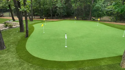 Backyard golf practice with synthetic turf Artificial grass putting green in a wooded backyard