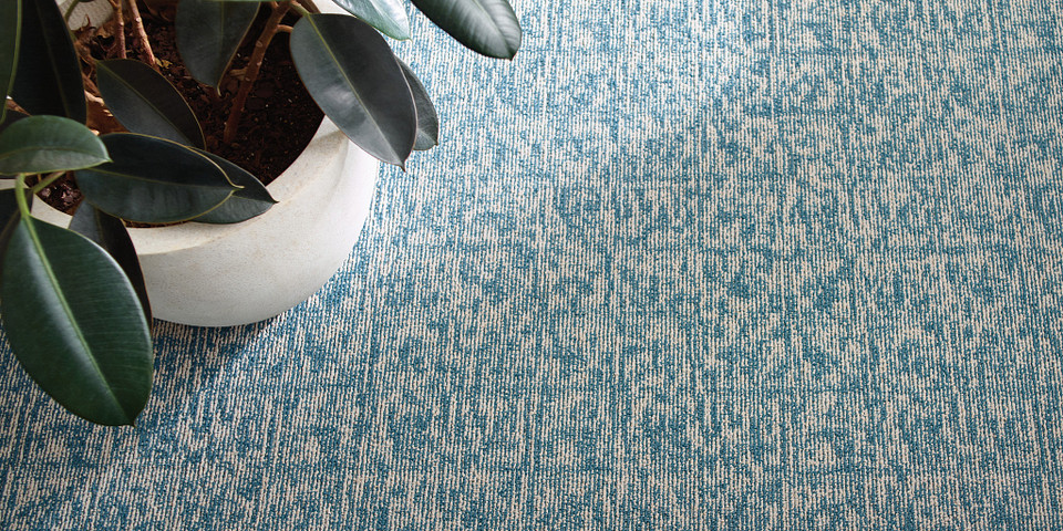 Distressed patterned carpet with a lively plant