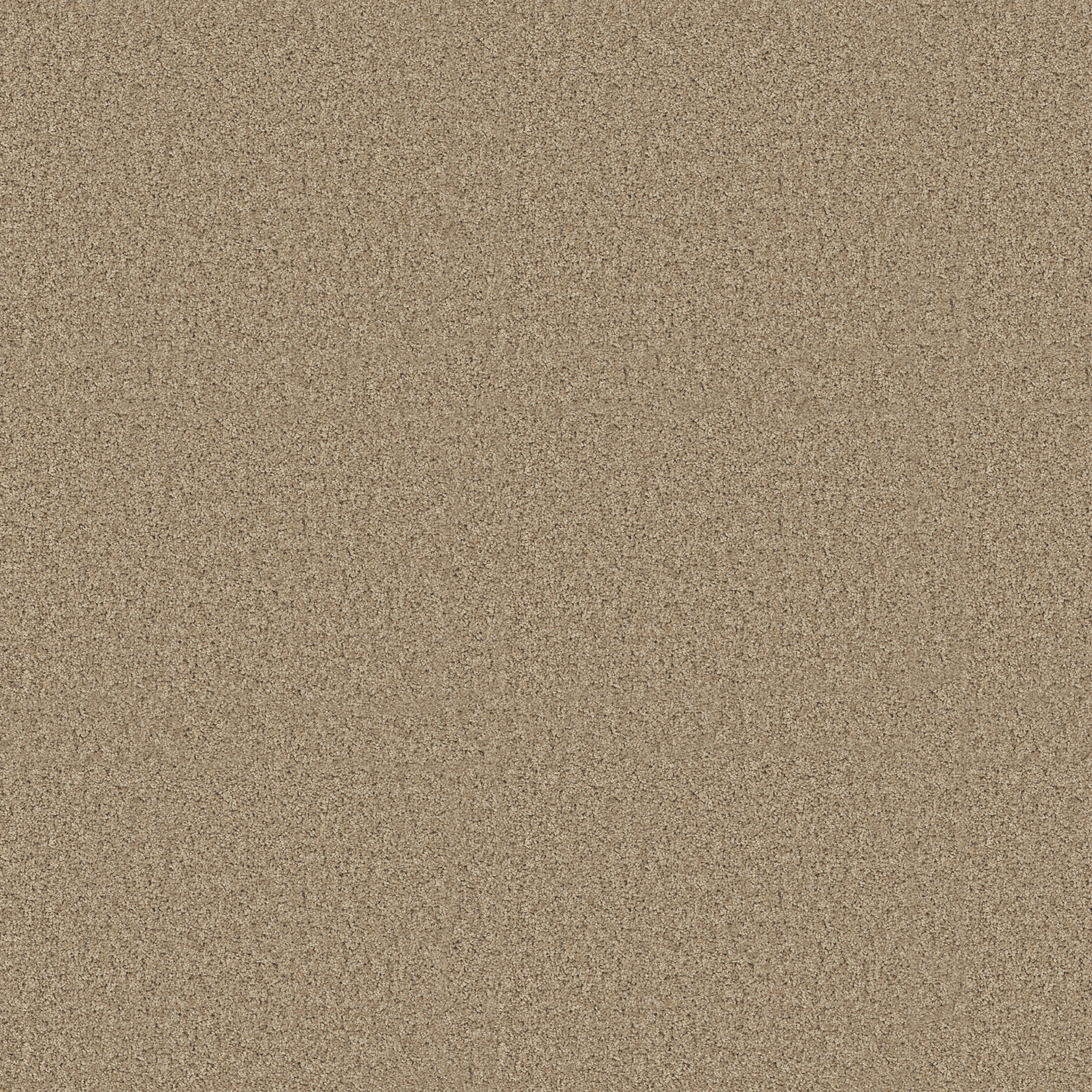 AROUND THE HOUSE I CLAY STONE MAIN