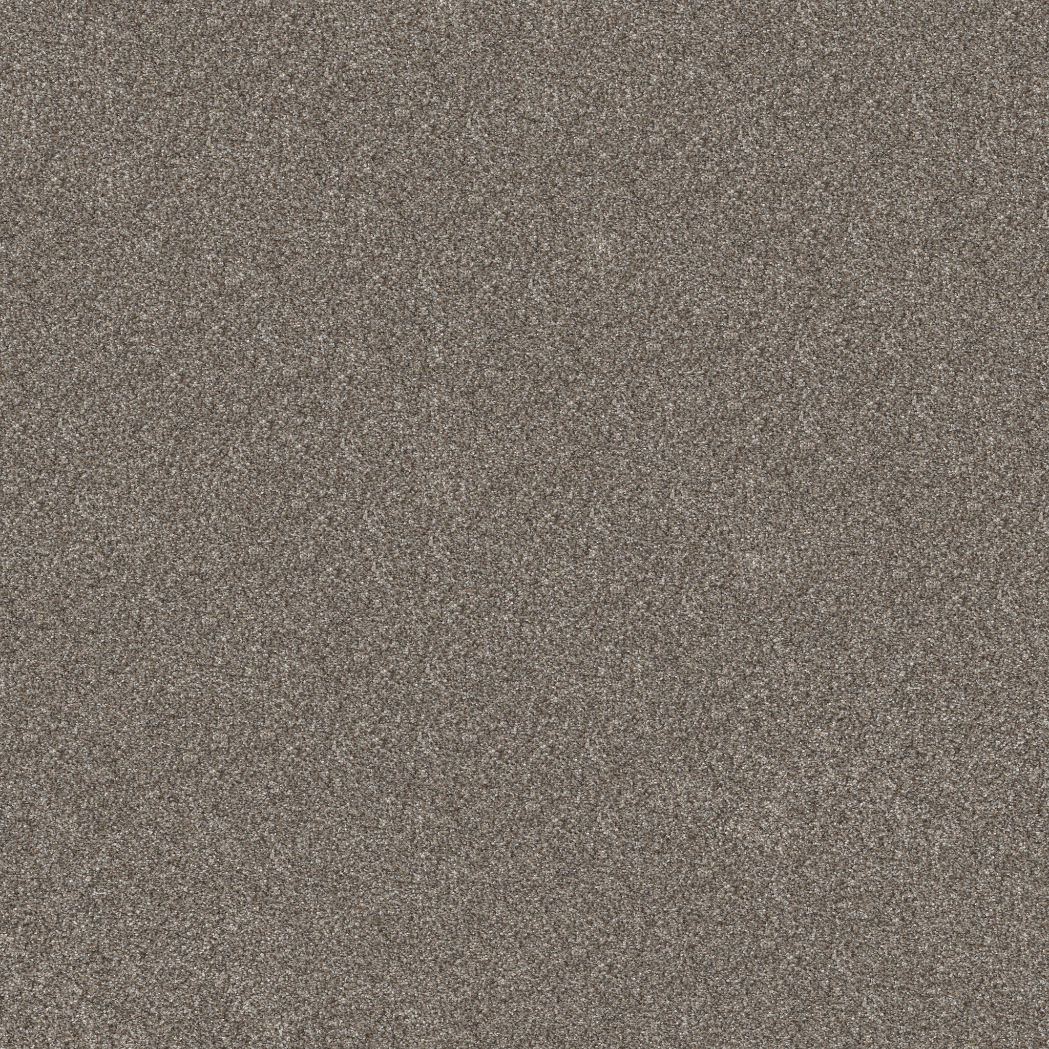 ELEVATED III COFFEE MAIN