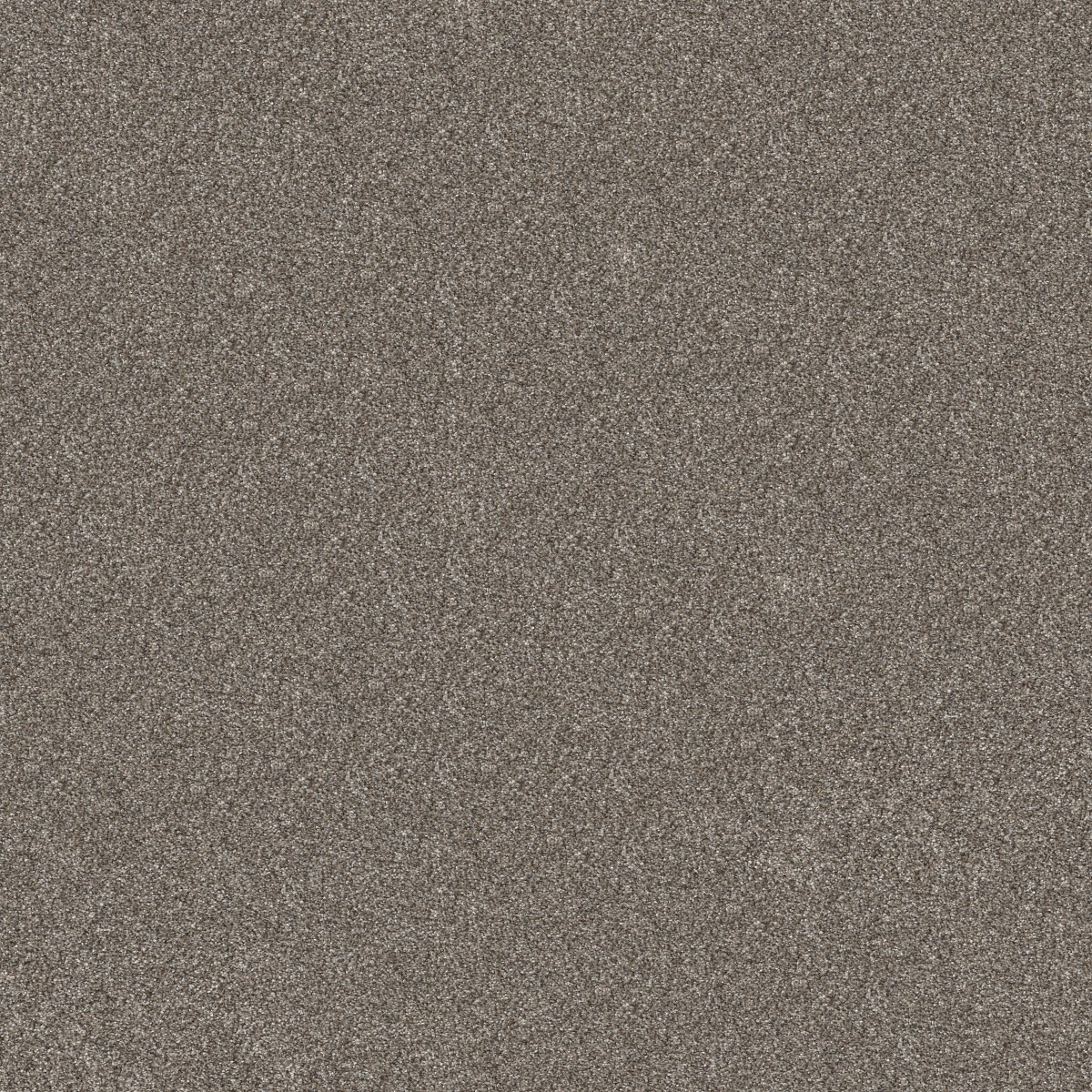 Shaw Floors ELEVATED III — COFFEE