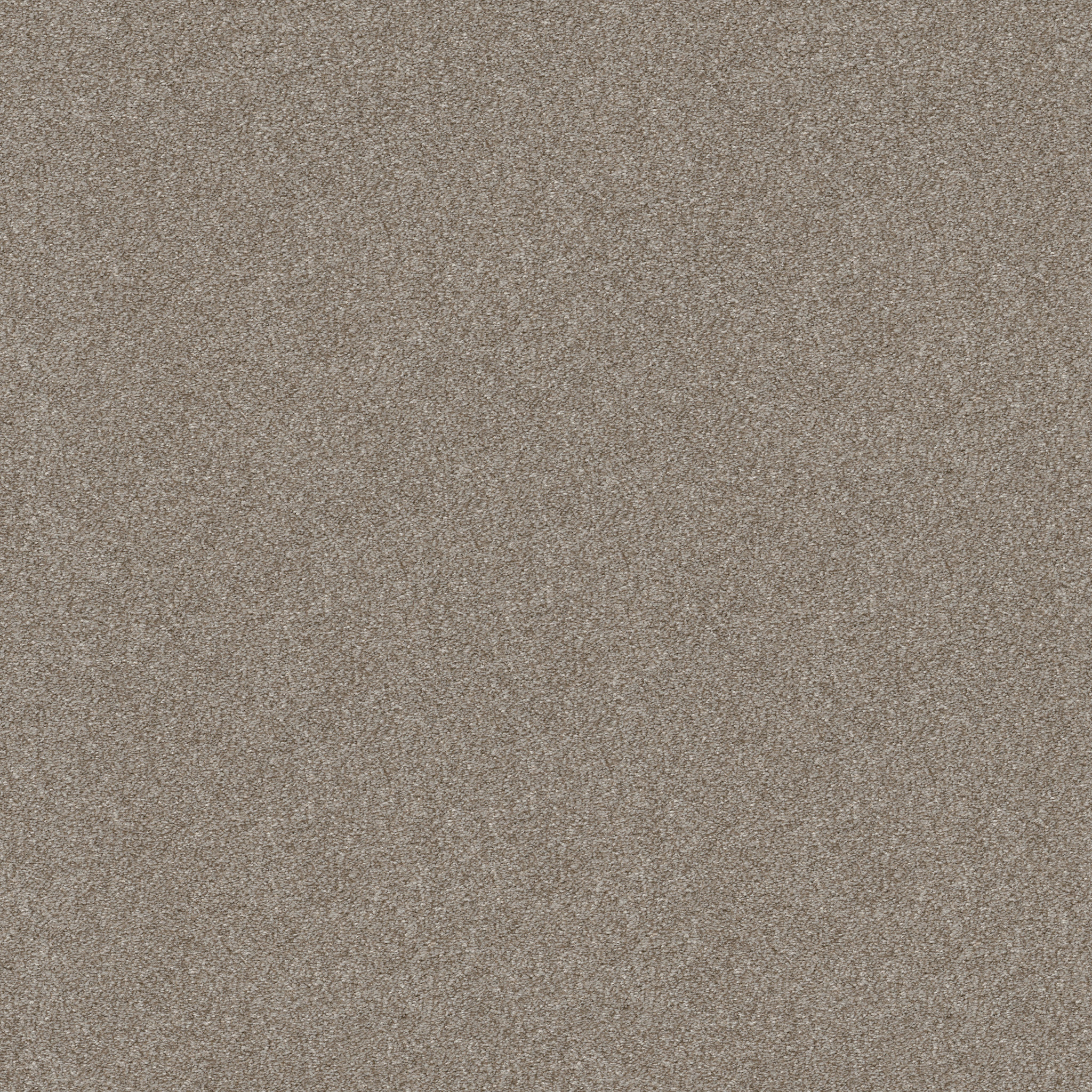 ATTAINABLE WINTER DUNES MAIN