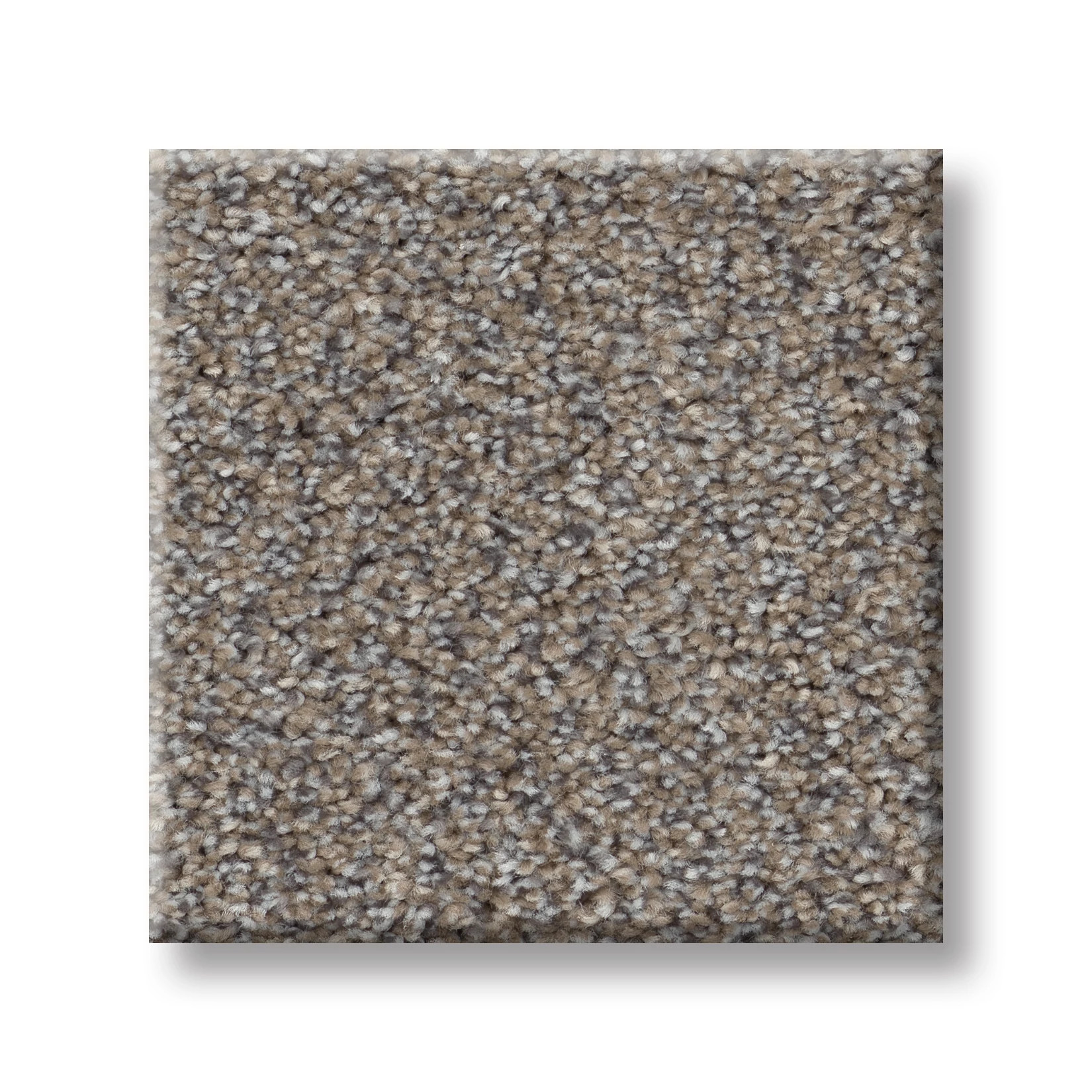 GAME CHANGING II RIDGEVIEW SWATCH