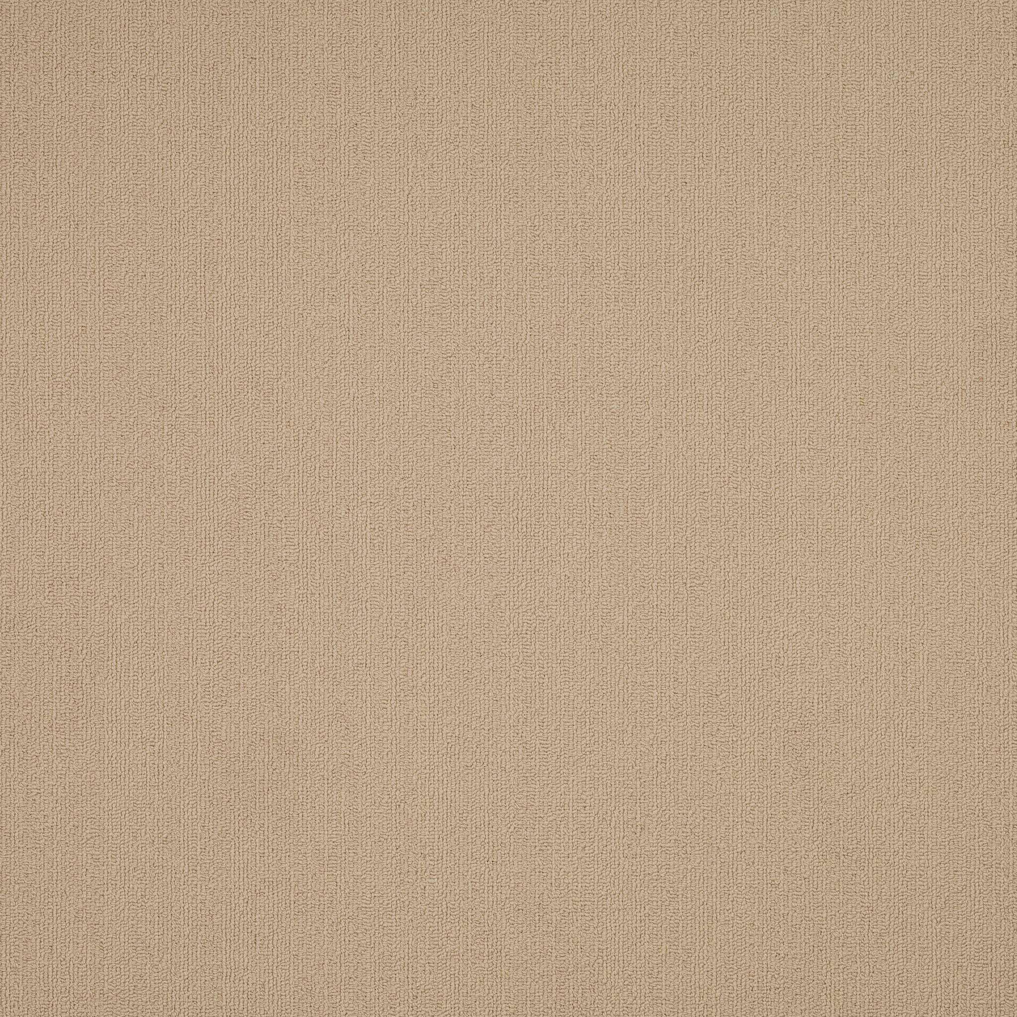 COLOR-ACCENTS-54462-CORNSILK-62111-main-image