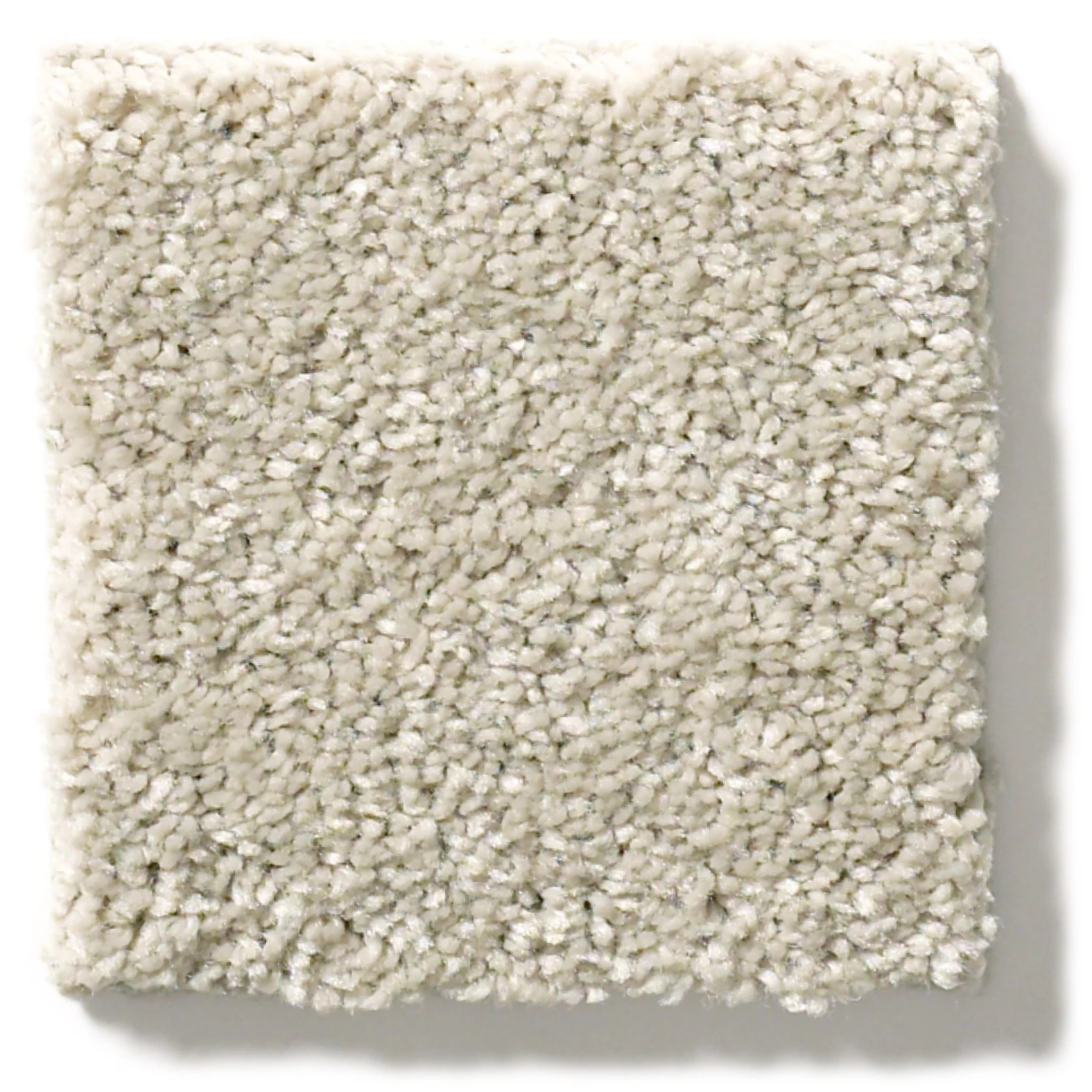 AFTER ALL I BIRD HOUSE SWATCH