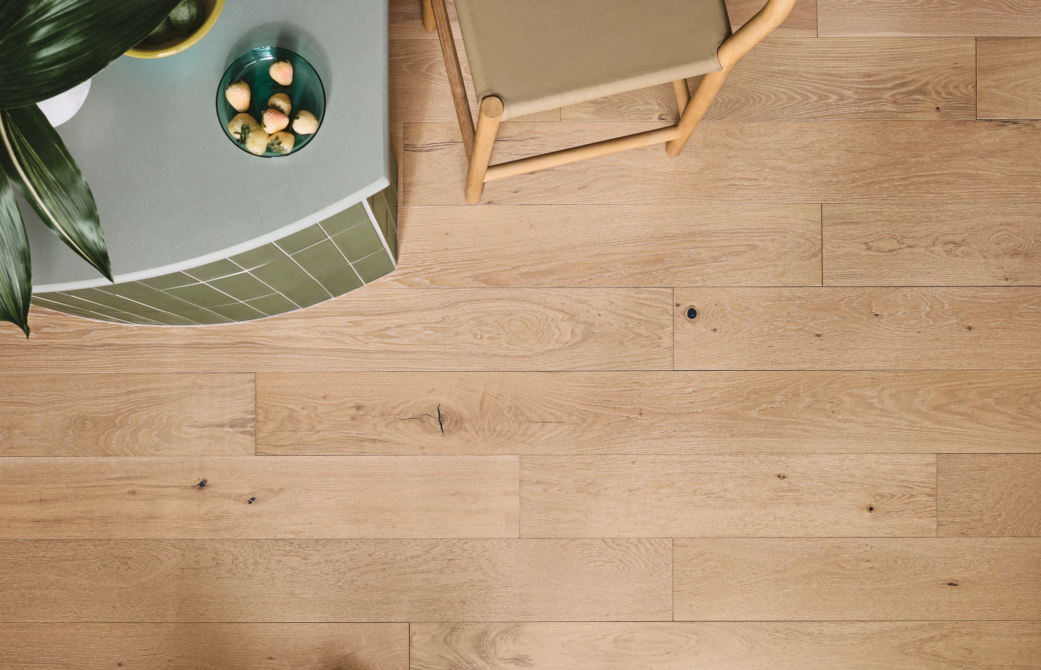 Top view of a light oak hardwood flooring in a modern room with a green plant and a chair