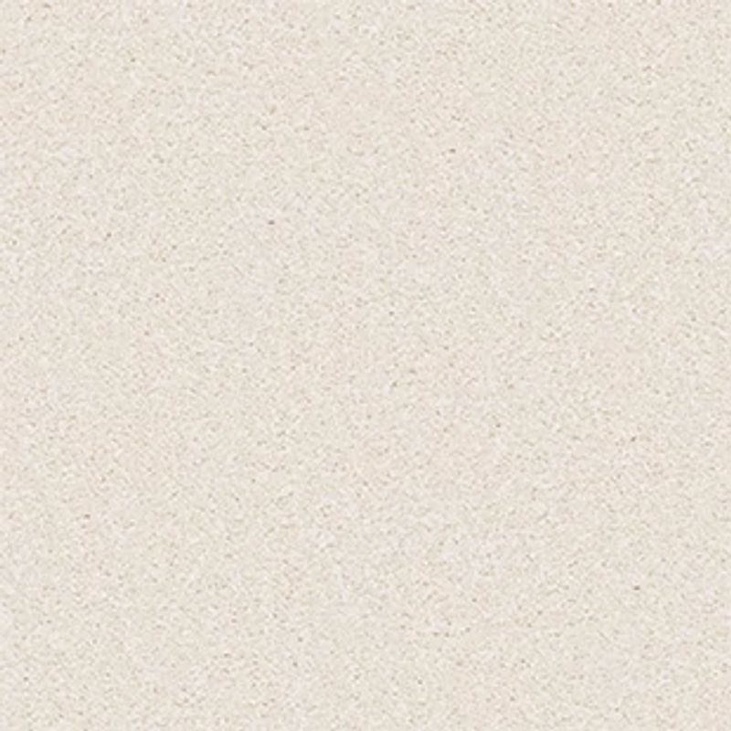 Sandy Hollow Classic II 12 E0550 broadloom carpet in Arrowhead color, made of 100% nylon, 12 ft wide