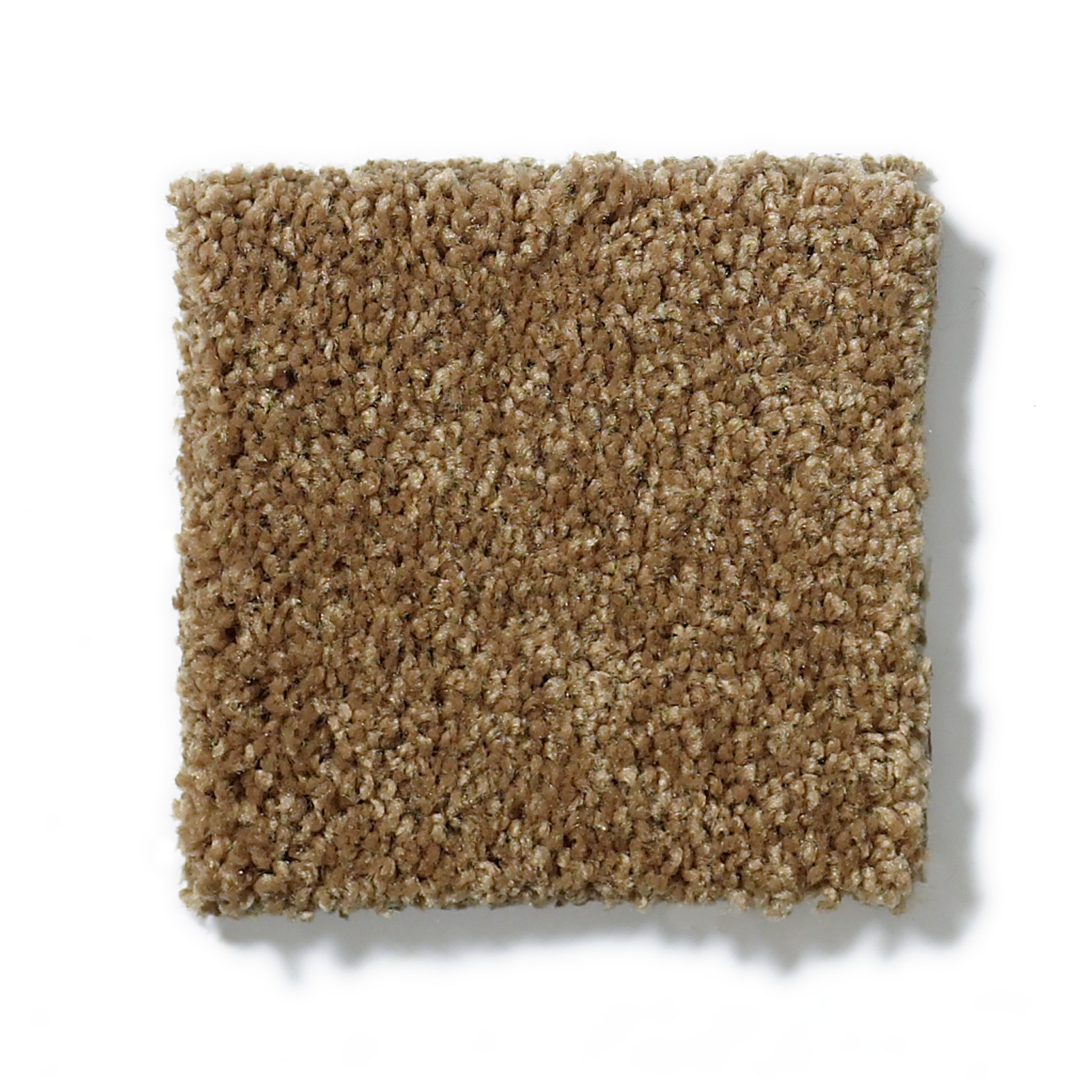 HARLEY STREET I BRONZE GLOW SWATCH