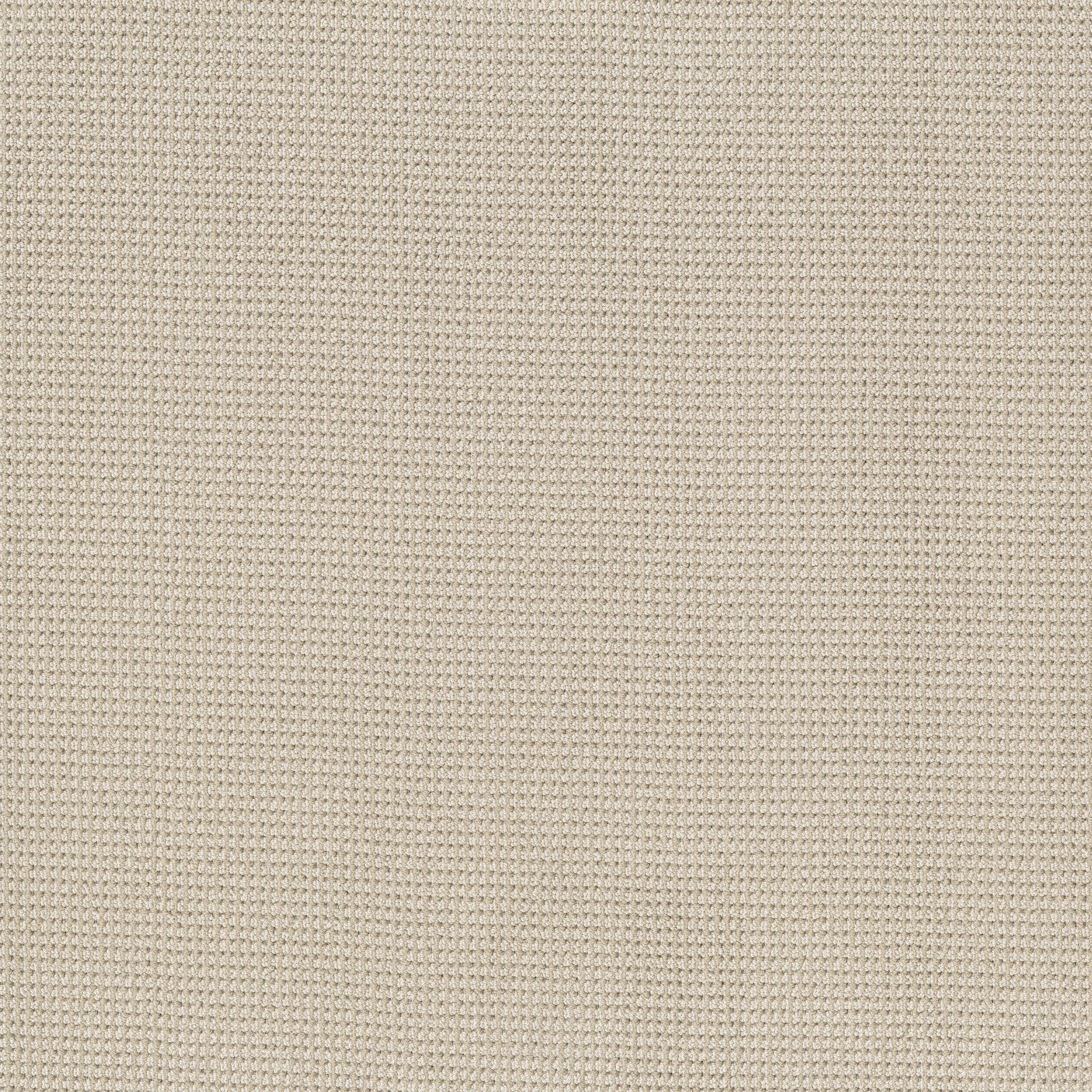 INSPIRED BIRCHBARK MAIN