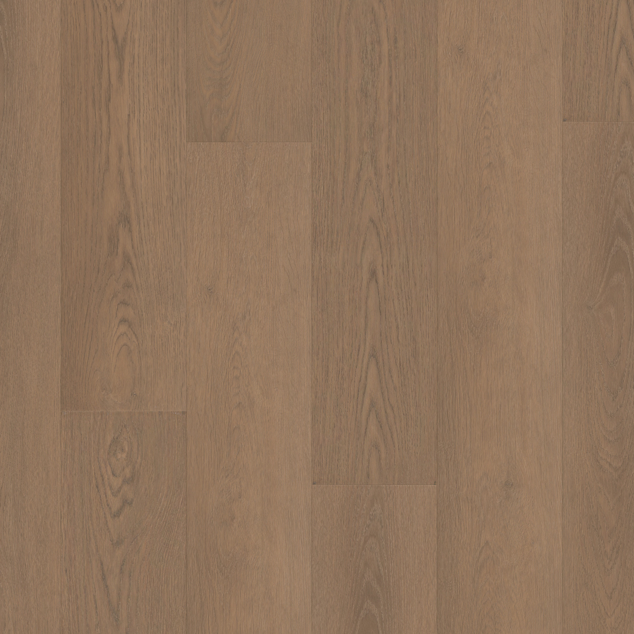 Paragon Hd+Natural Bevel - in Wisteria | Shaw Floors