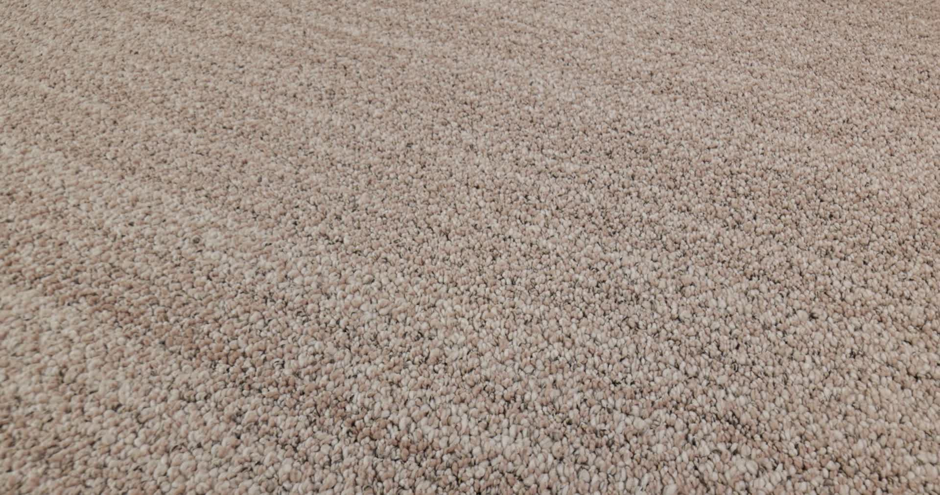 IN TEMPO BLUSH 360PROD