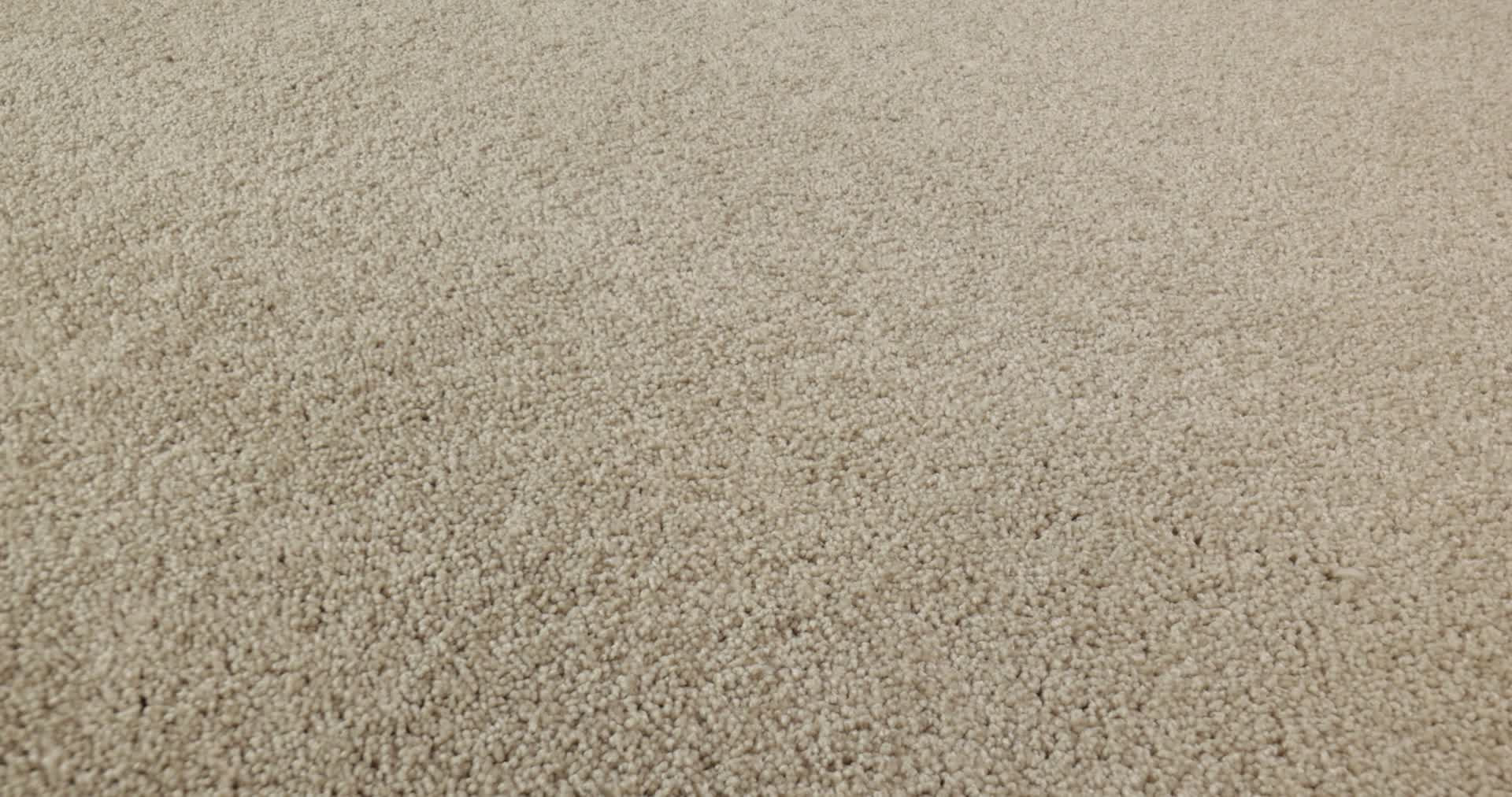 LAGUNA BEACH FRENCH CANVAS 360PROD