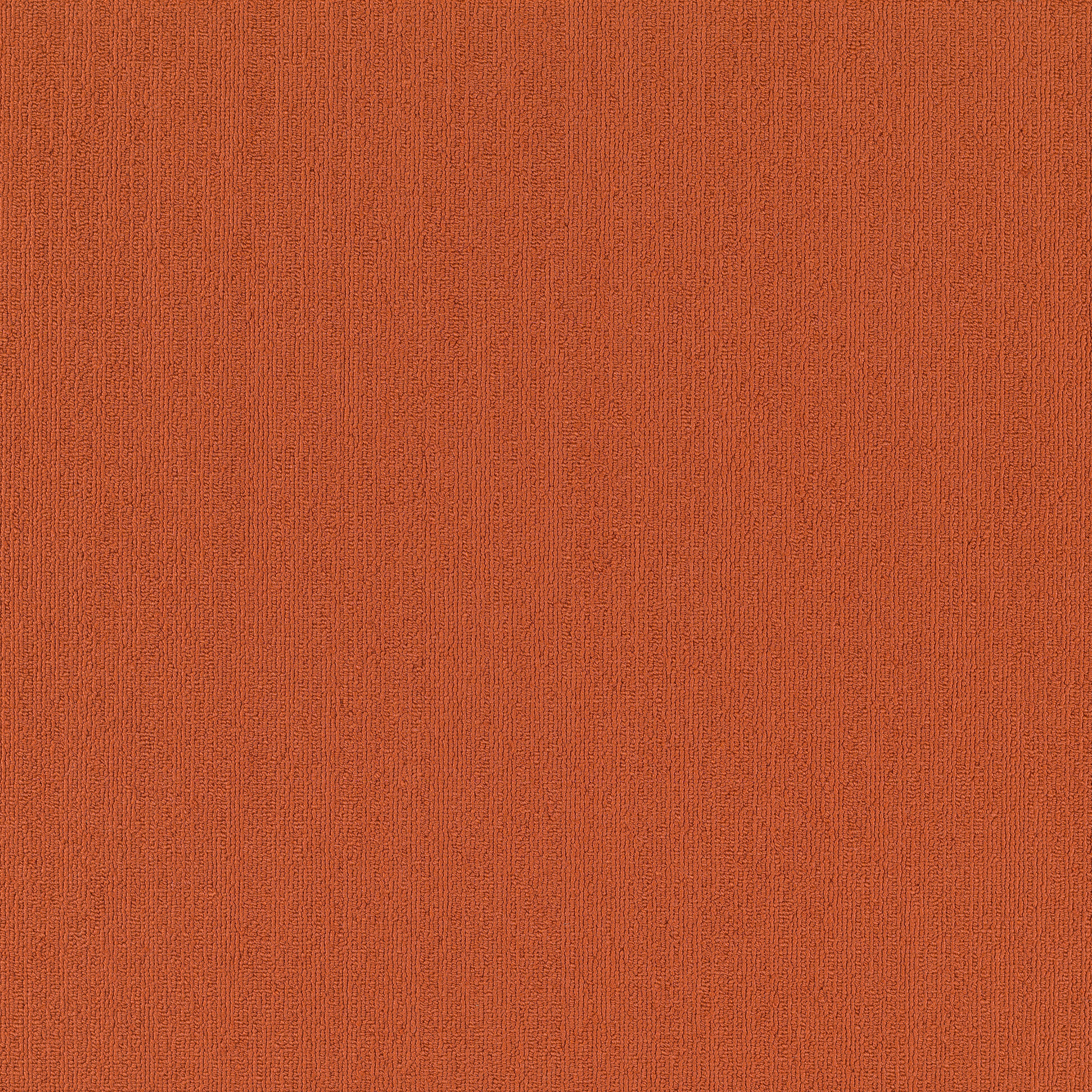 COLOR-ACCENTS-54462-PAPRIKA-62668-main-image