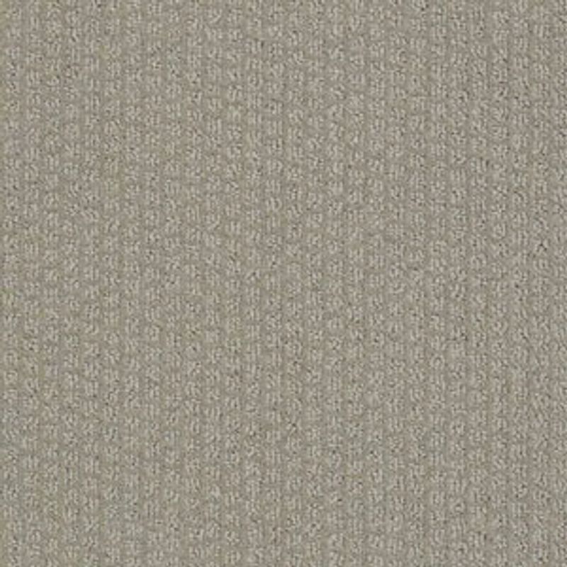 Cannon Beach SNS06 Broadloom Carpet in Agate and Valley Mist, 100% Nylon, 12ft wide, 150ft roll