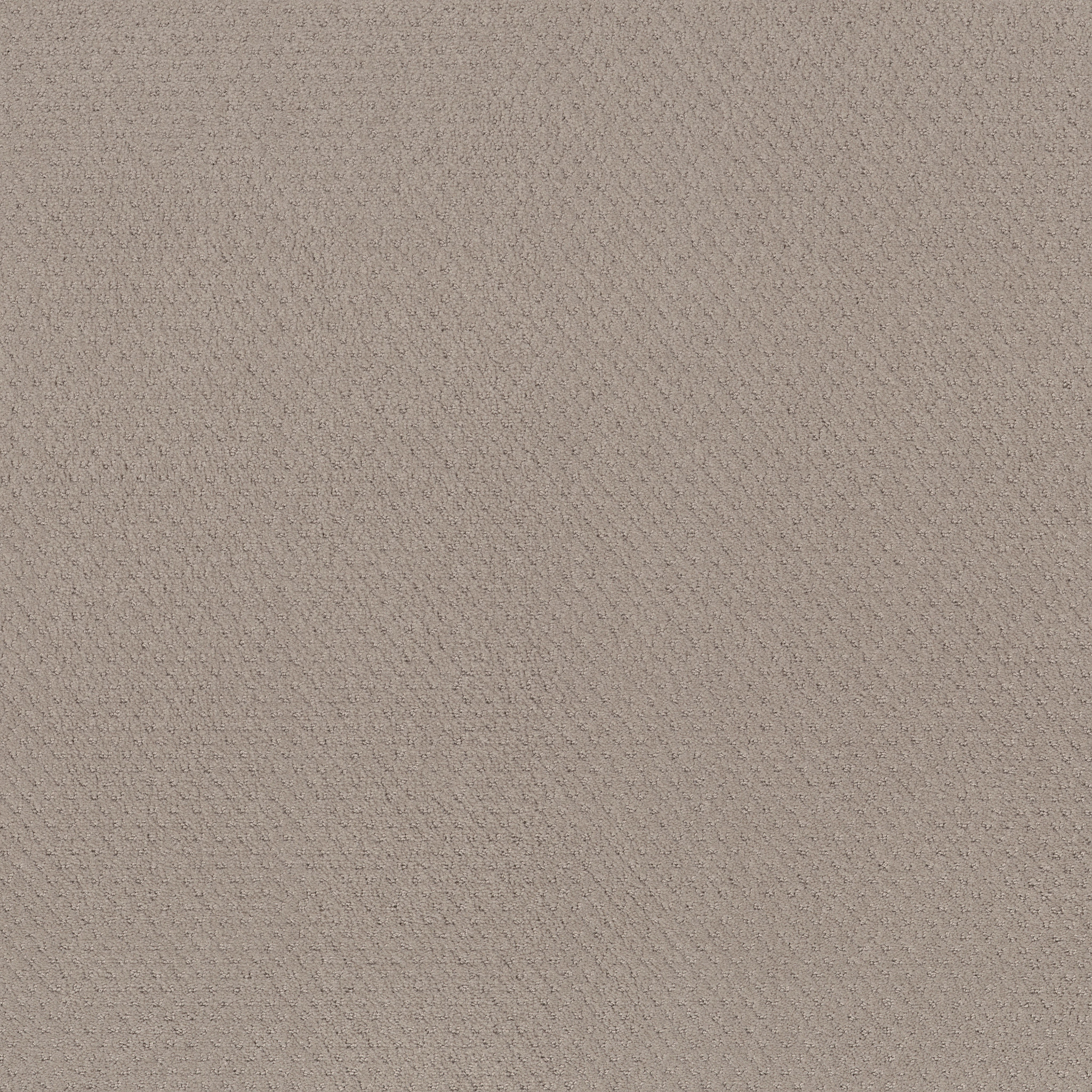 DEL VISTA BIT OF GRAY MAIN