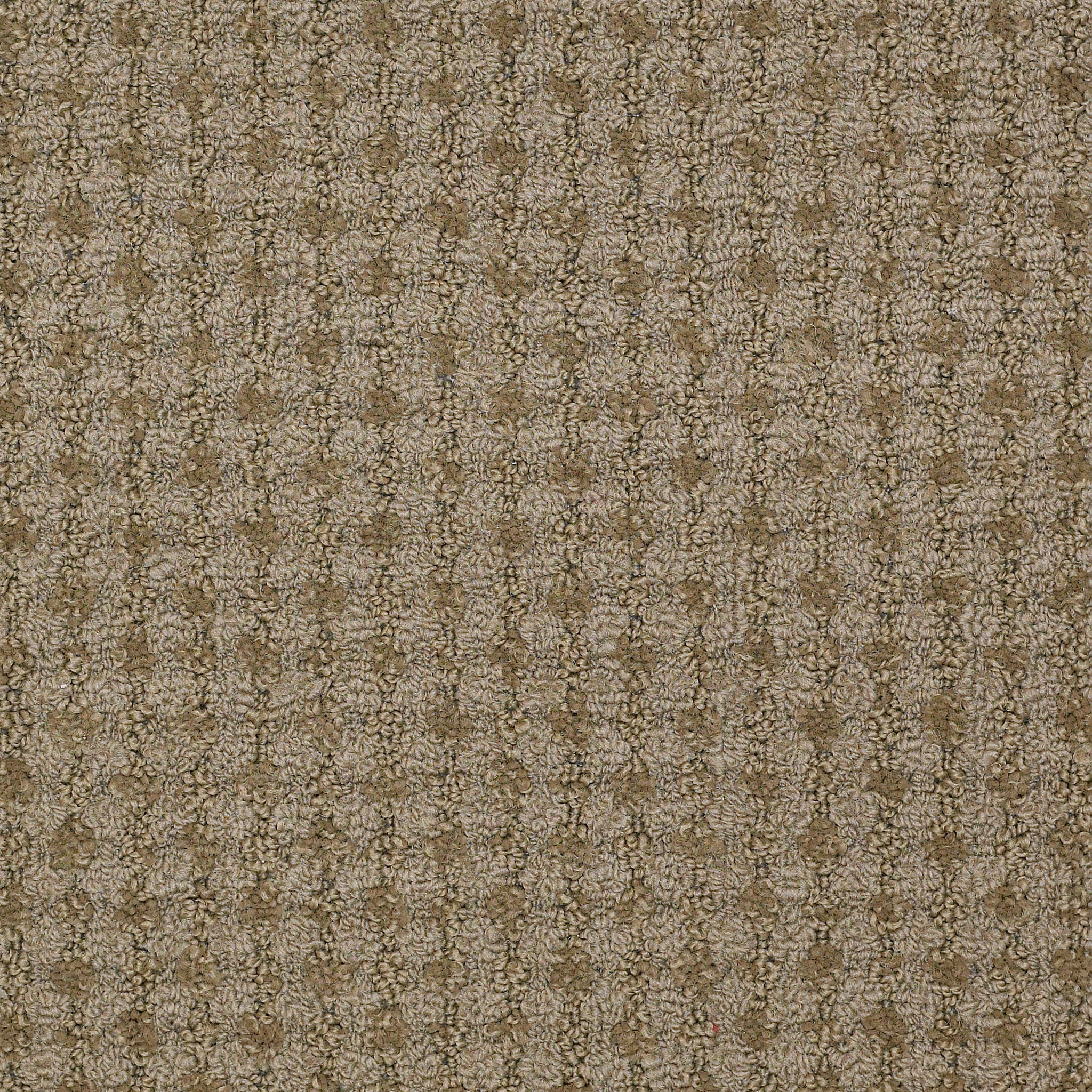 LIVE-54735-JOY-35704-main-image