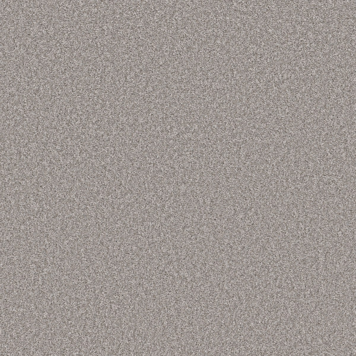Shaw Floors TAKE AWAY (T) — CHATEAU