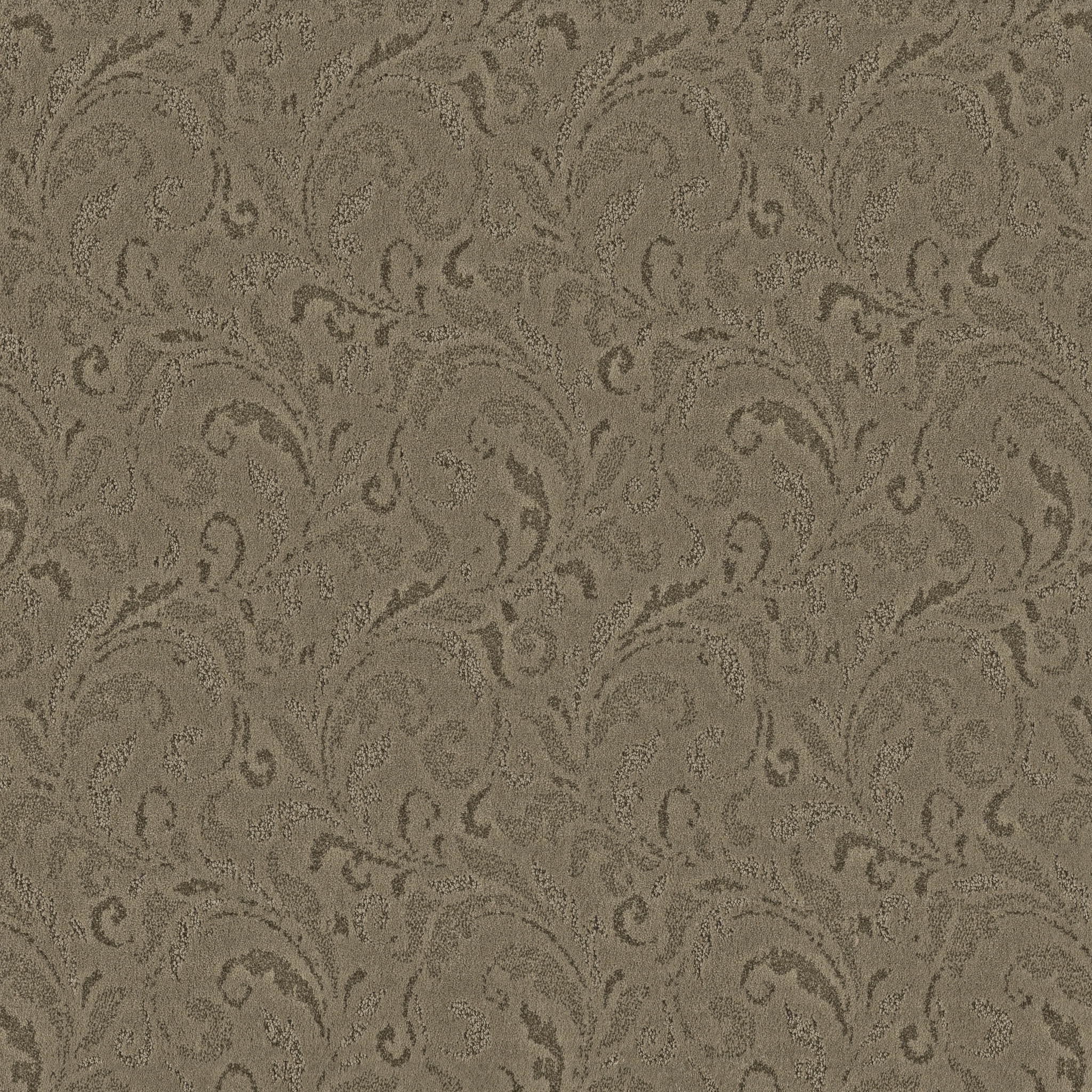 CHARISMATIC BONSAI MAIN