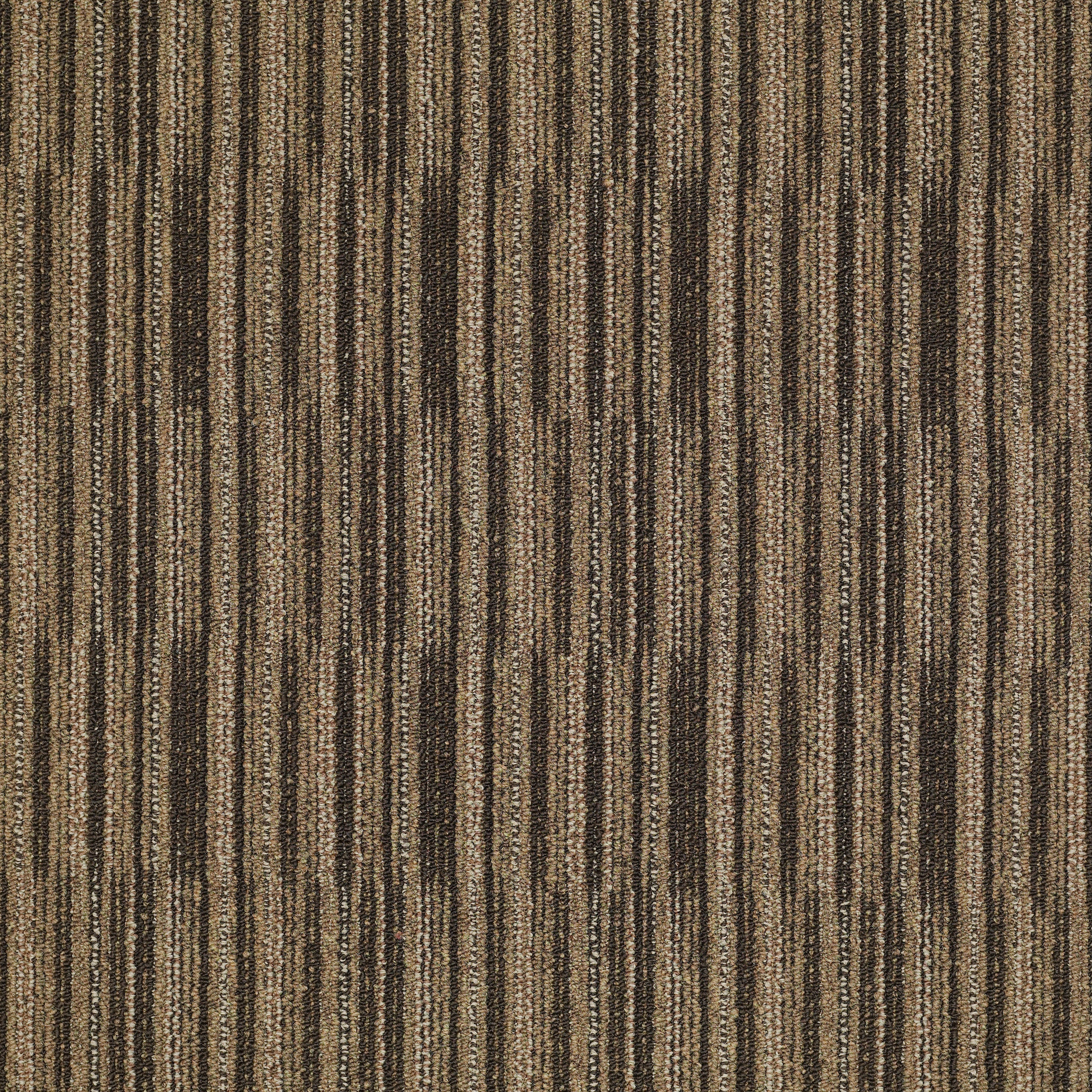 CUTAWAY-J0181-INSTANCE-81709-main-image