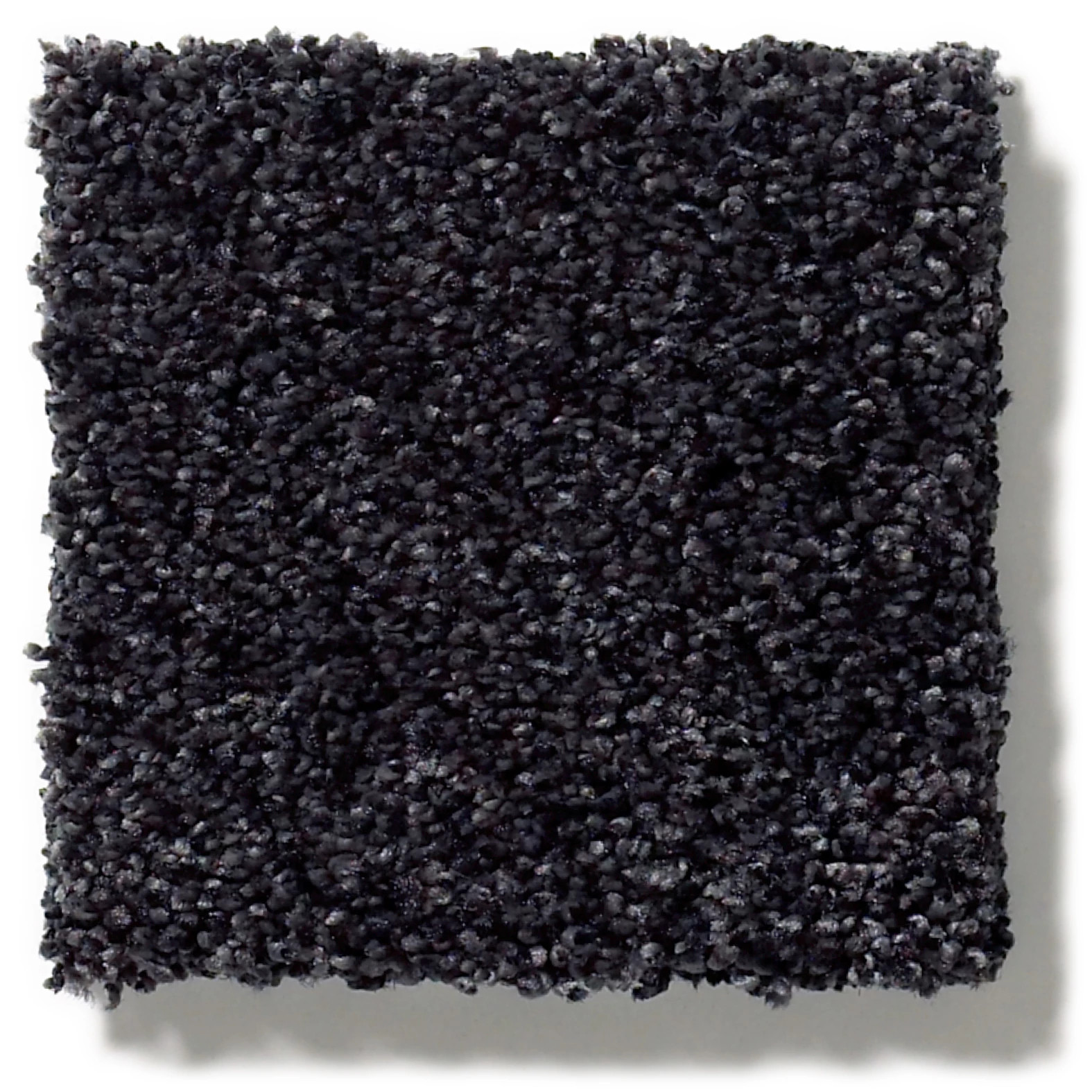 TONAL COMFORT BLUE MOVIE NIGHT SWATCH