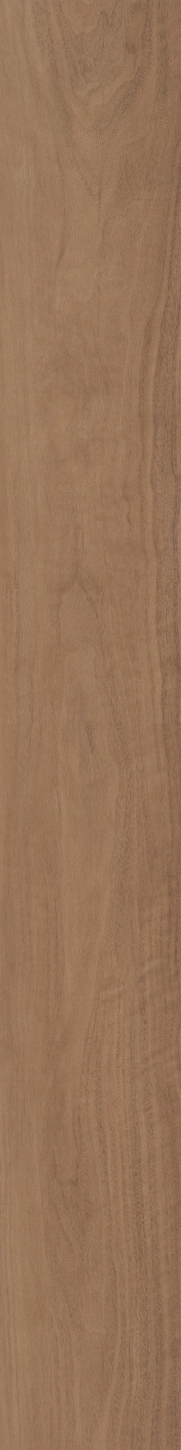 Subdued Sienna