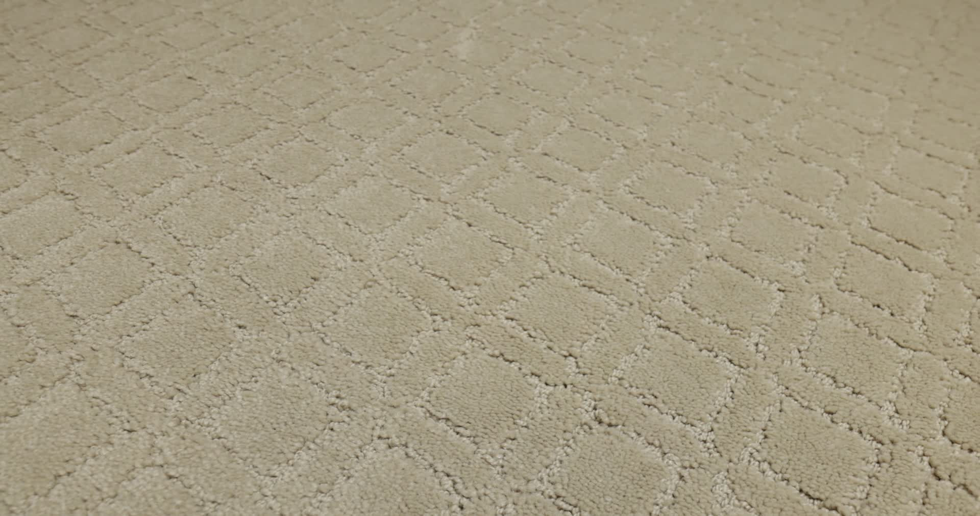 MUSE OAK RIDGE 360PROD