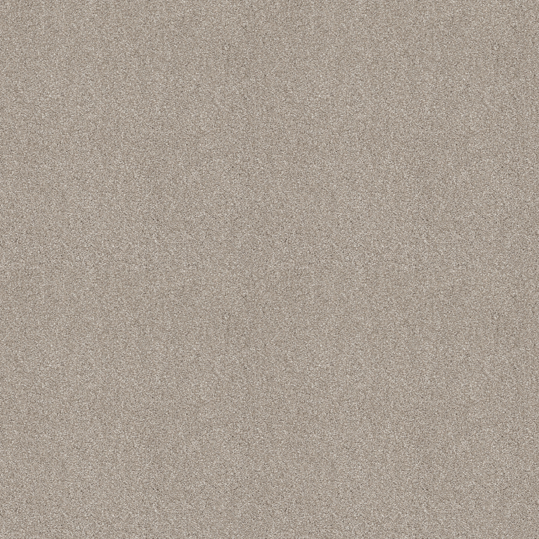 LUCKY YOU CATNIP MAIN