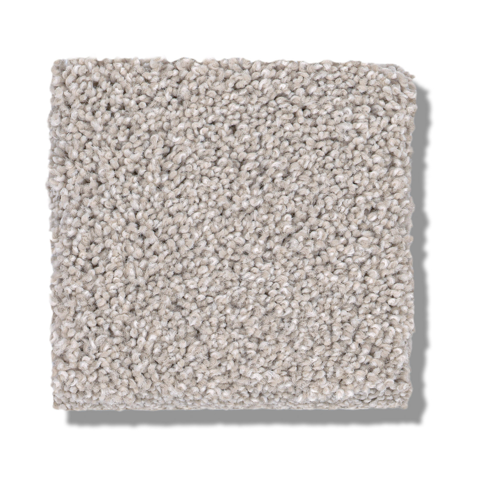 COZY HARBOR I THOUGHTFUL SWATCH