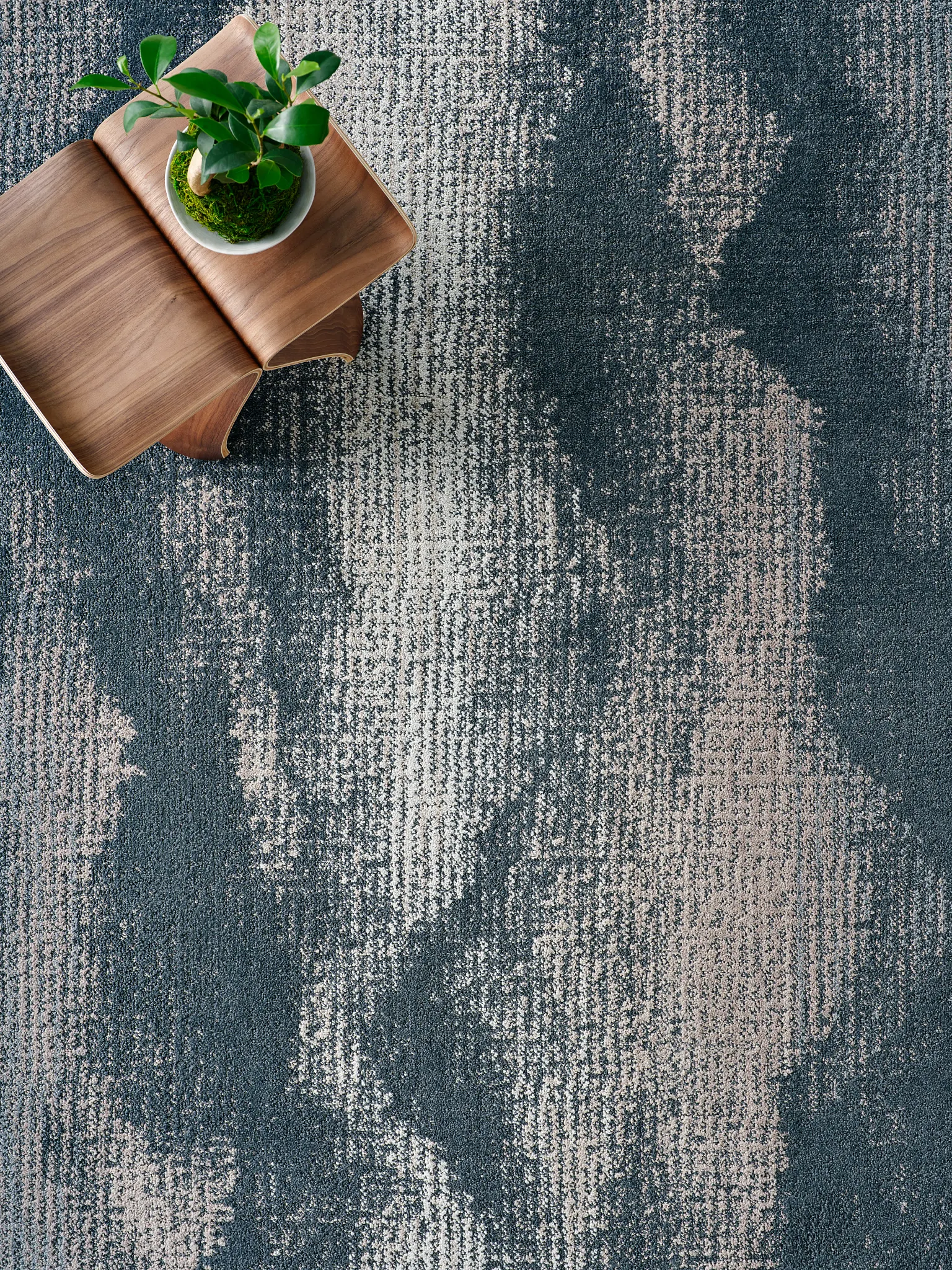 Blue and beige patterned carpet with wooden table and plant