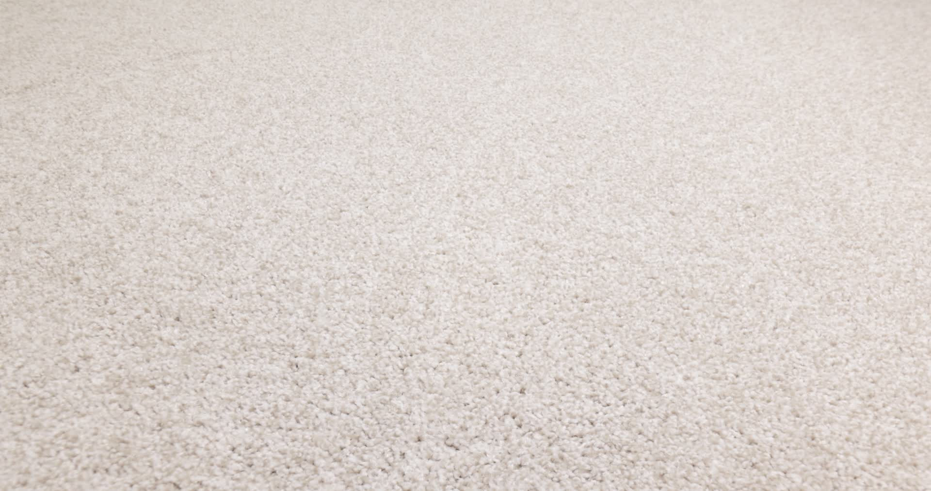 HARMONIOUS I GALLERY OPENING 360PROD