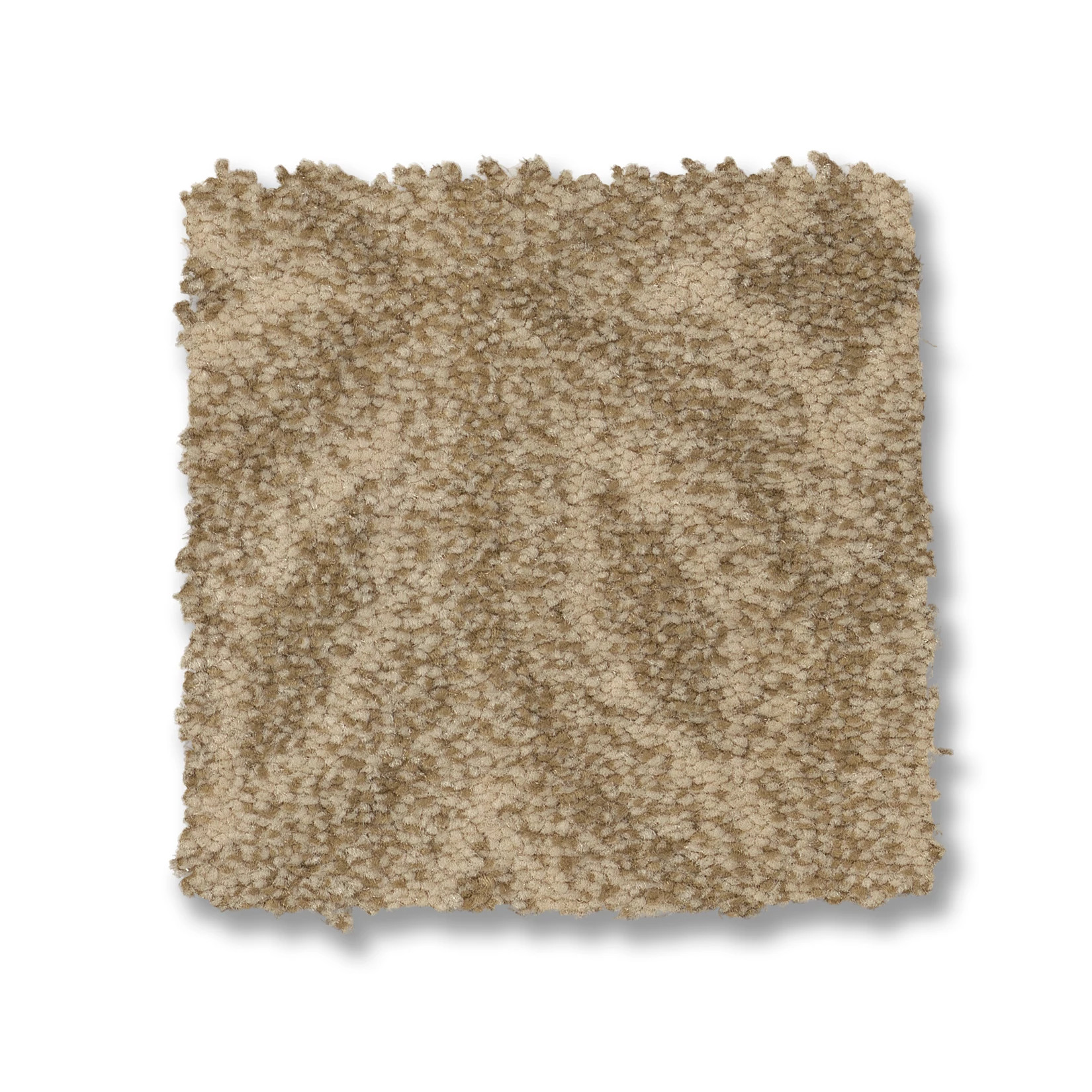 ENLIGHTENED BEACH GRASS SWATCH