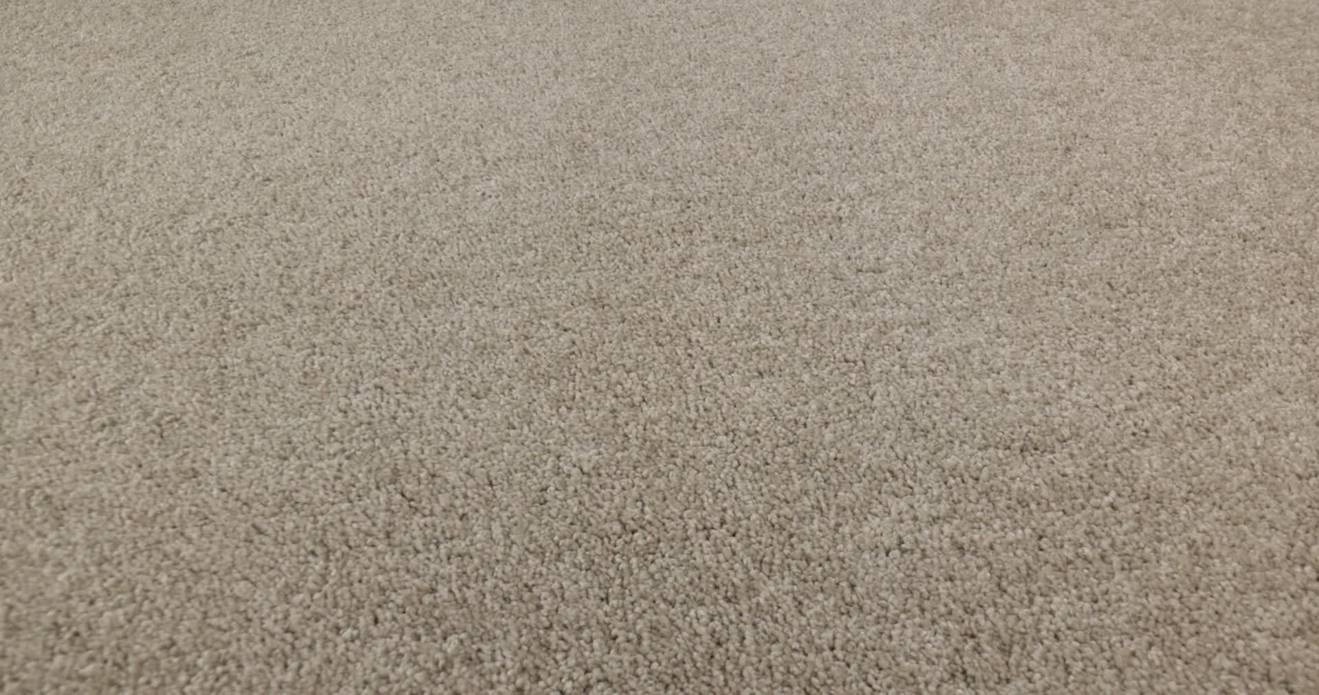 BASIC RULES VICUNA 360PROD