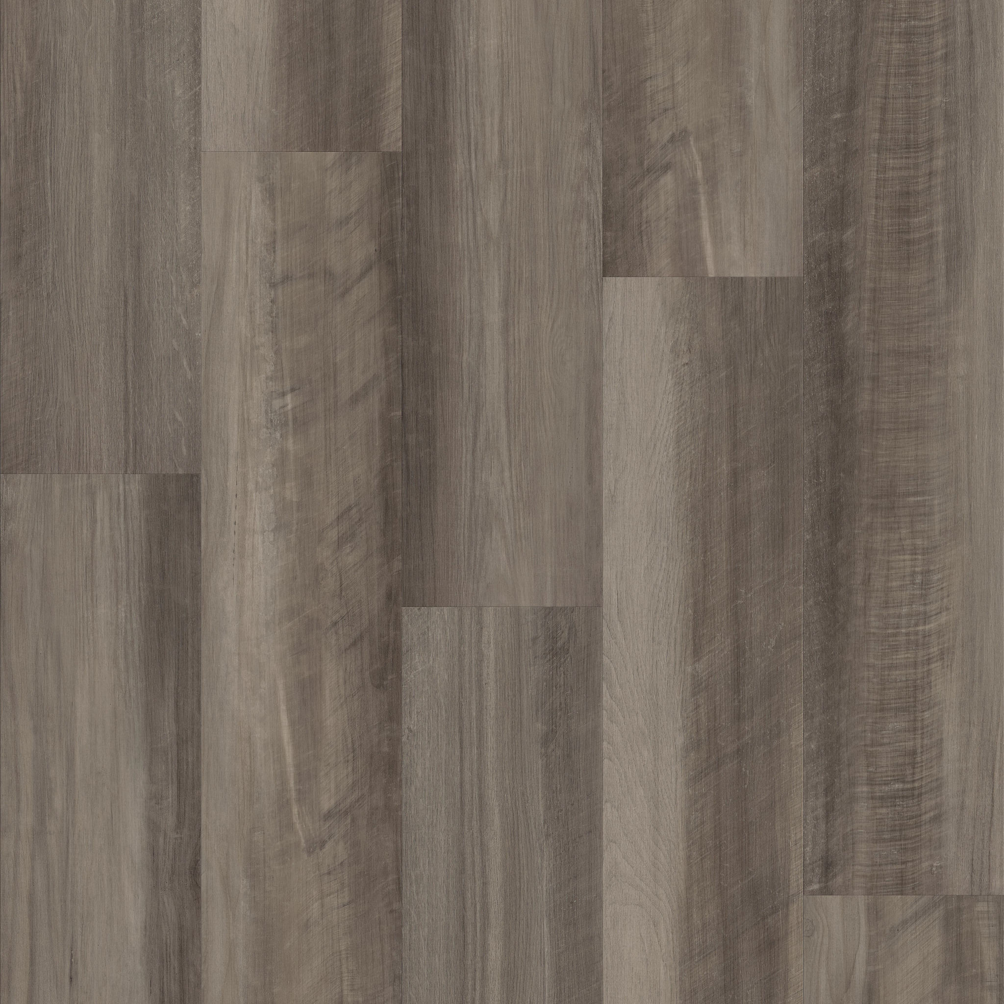 PARAMOUNT 512C PLUS 509SA - 00591 | Shaw Floors PARAMOUNT 512C PLUS 509SA - 00591 | Shaw Floors