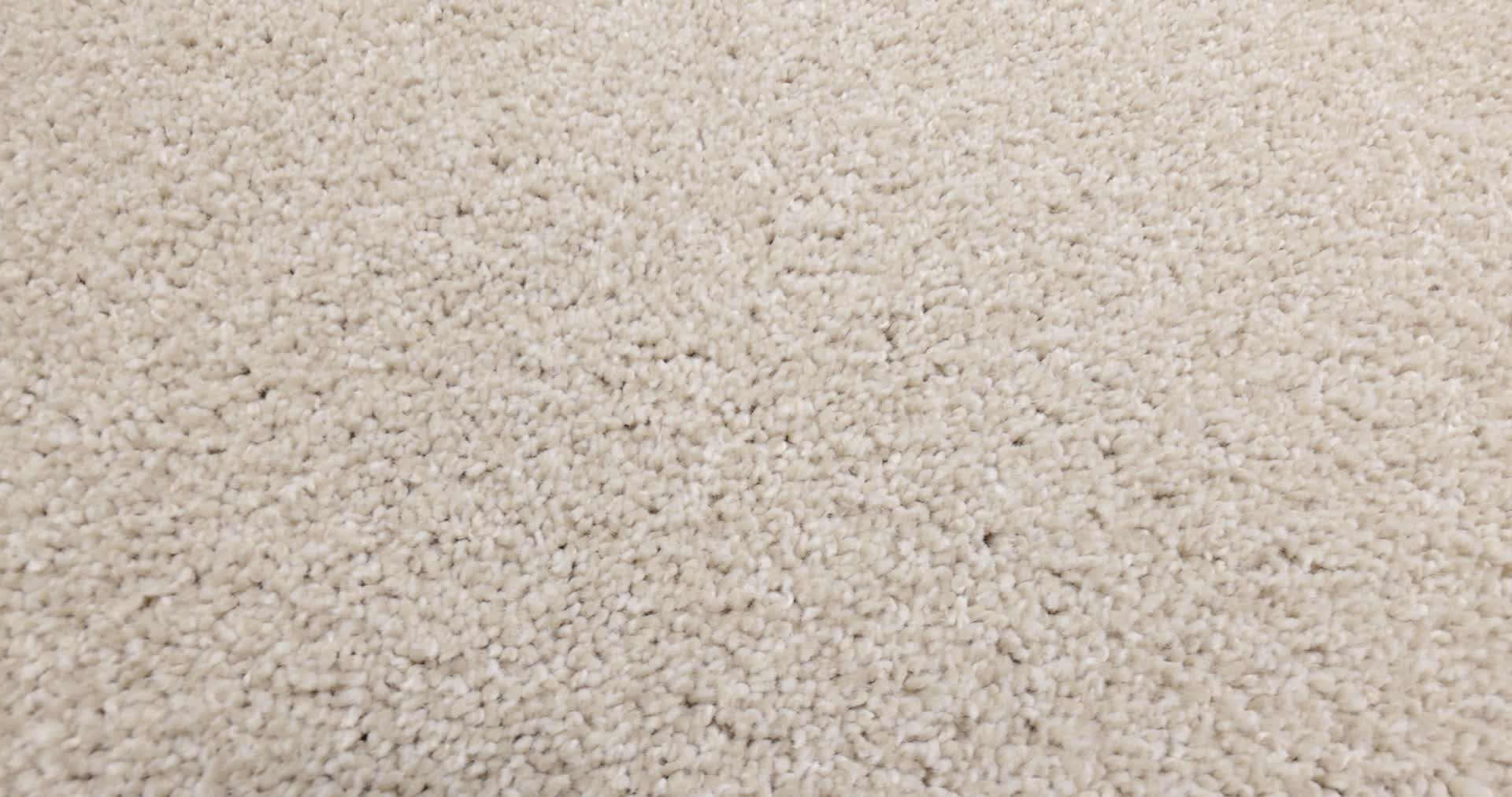 HIGH IMPACT T AURA 360PROD