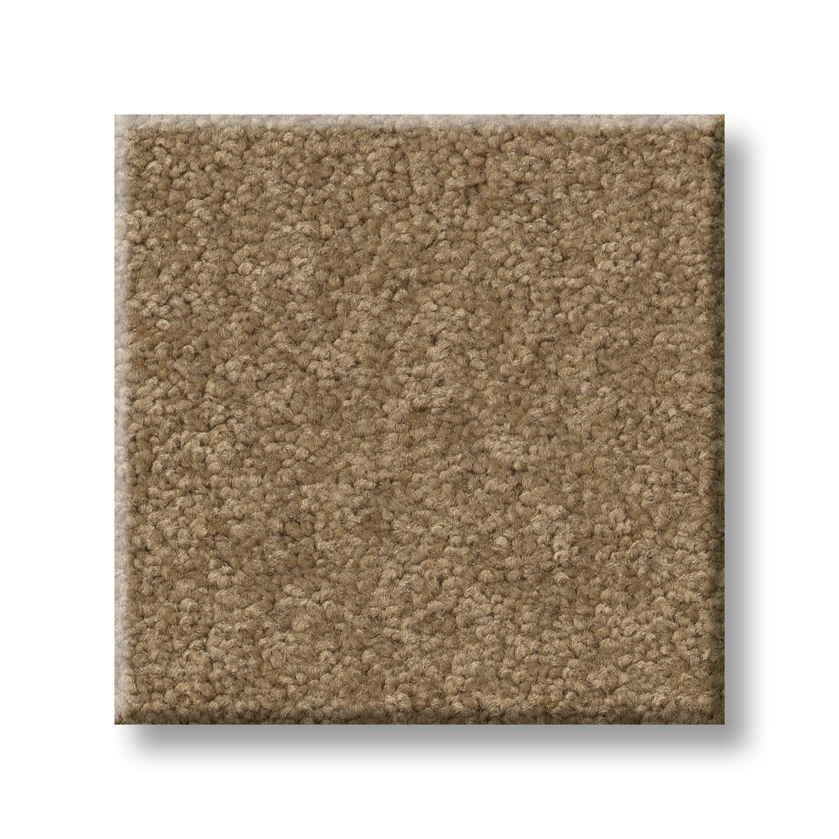 TIMELESS APPEAL III 12' MUFFIN SWATCH