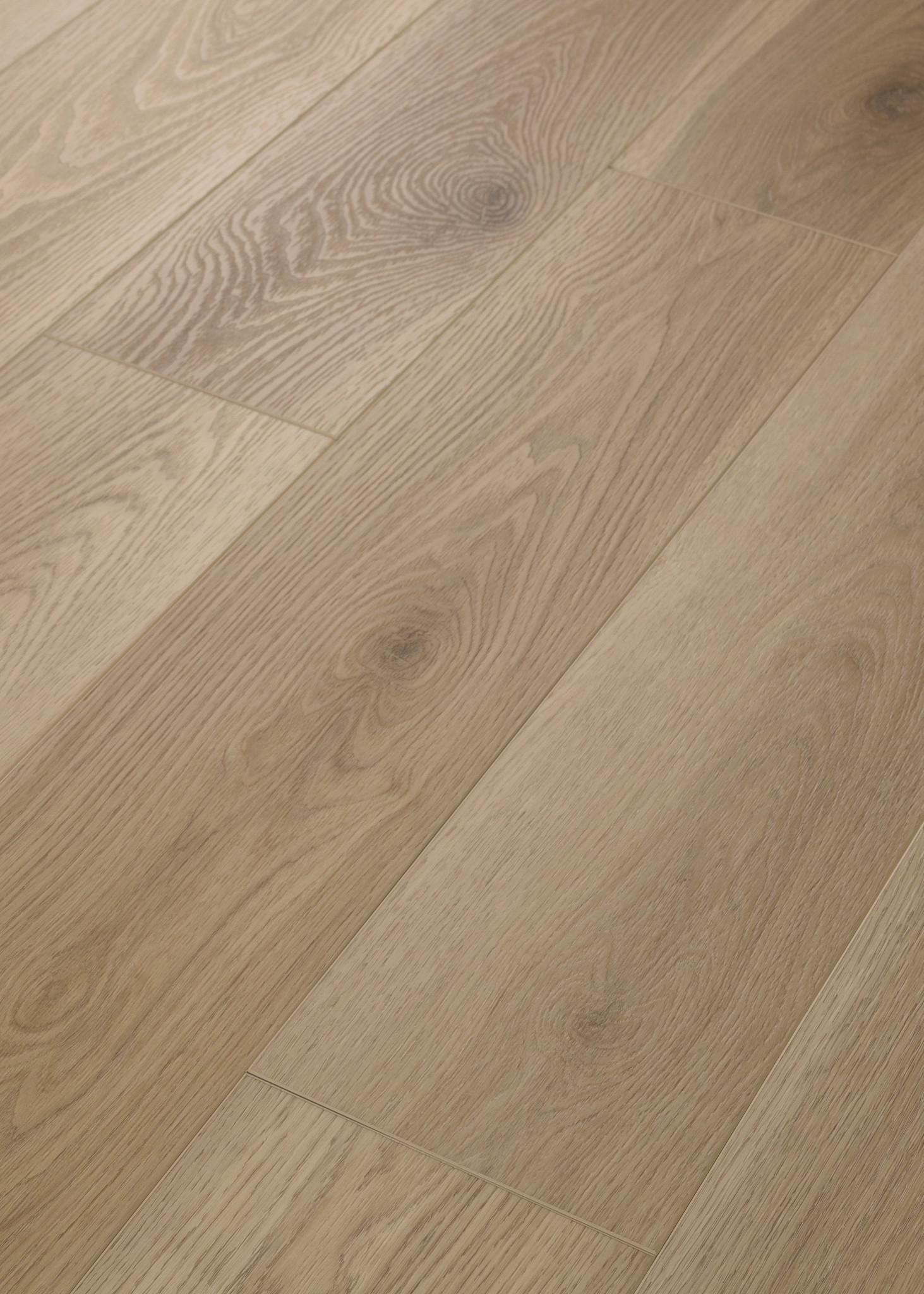 HOMEBOUND HONEY WHEAT ANGLED