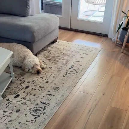 Wood Look Luxury Vinyl Plank Flooring in Cozy Living Room Scene Cozy living room with wood look luxury vinyl plank flooring, featuring a light brown tone and a sleeping dog on a patterned rug